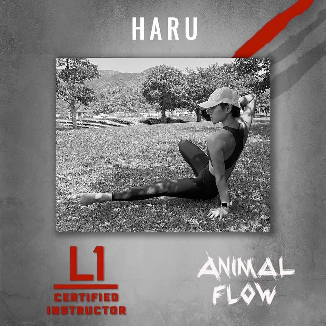 HARUKAのインスタグラム：「私はANIMAL FLOW® インストラクターです🙌  ANIMAL FLOW ®（アニマルフロー）はヨガやピラティス、スポーツ、ダンス、格闘技などの動作が統合されたファンクショナルトレーニング（身体機能向上のエクササイズ）。  その動作には、一つ一つの人間工学に沿った関節の動きやストレッチング、トレーニング、バランスなど多くの重要な動きが組み込まれています。  【ANIMAL FLOW®の主な特徴】 🦁手首の可動性向上 🦁身体機能の活性化 🦁動物のような移動能力を学ぶ 🦁柔軟性と安定性の向上 🦁動きと動きを繋ぎ合わせる能力の向上 🦁持久力や想像力、認知機能の向上  オンライントレーニング、グループトレーニングではANIMAL FLOW®を取り入れたメニューも体験できます🙆‍♀️  プロフィールのURLにある 公式LINEからお問い合わせ受付中です😊」