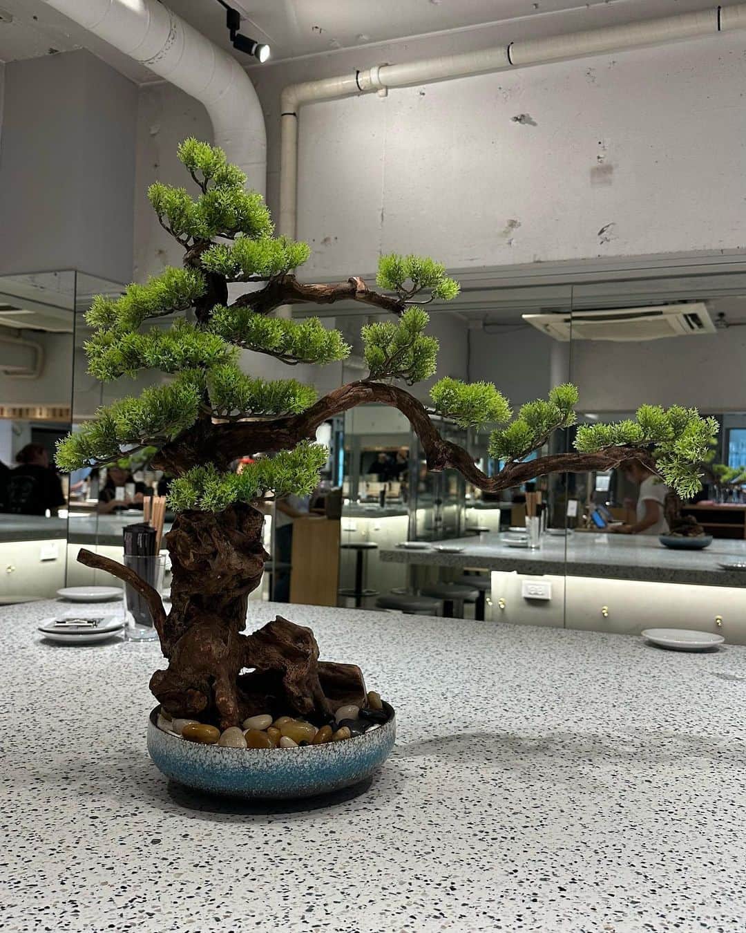 のインスタグラム：「盆栽すき。癒される。🇯🇵」