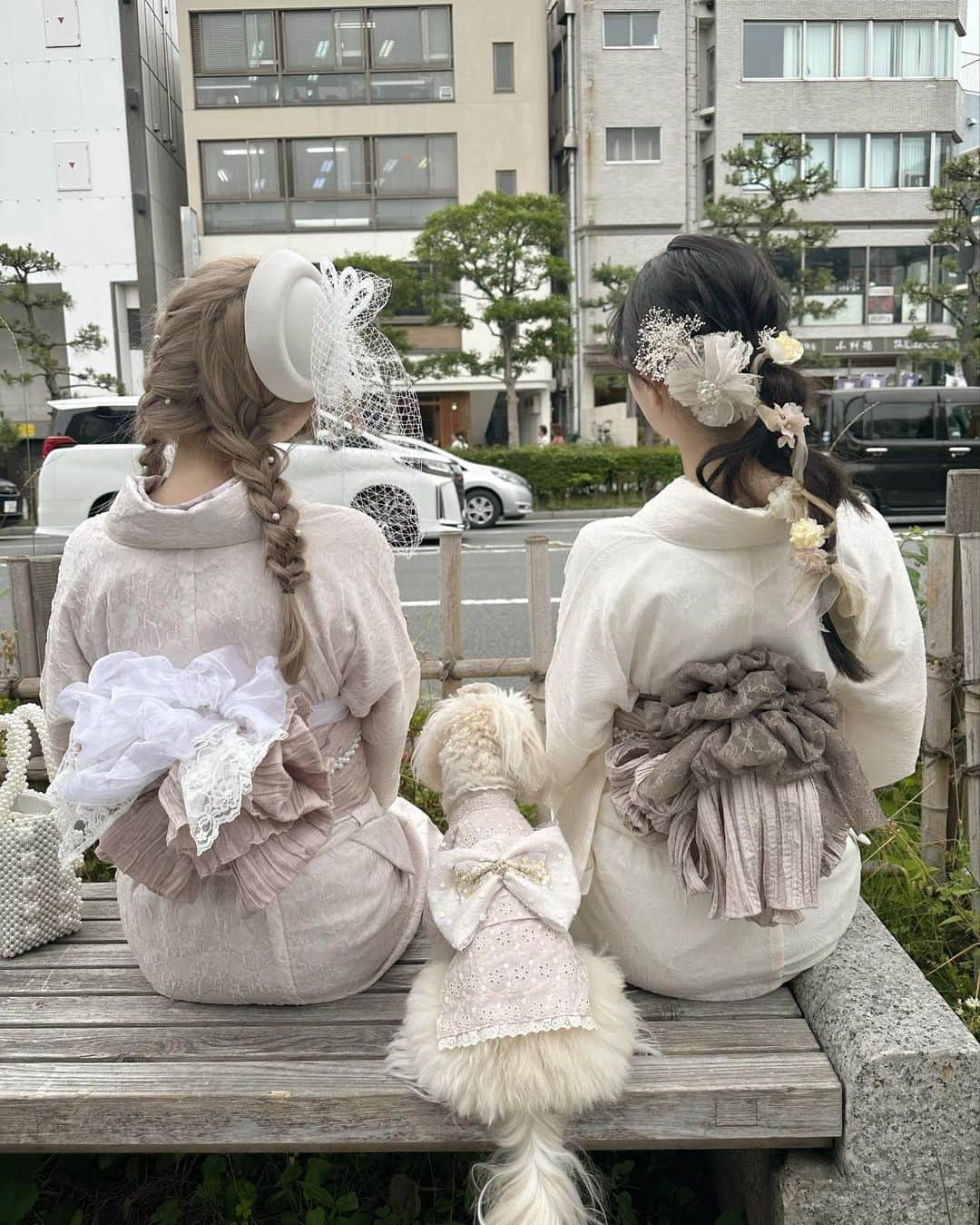 高木凜汐のインスタグラム：「三姉妹です！！！     みんなでレースのお着物きたよ♡♡ 犬のお着物売ってるの知らなくてびっくりした！可愛すぎだよね！ 私たちは @rikawafuku_kamakura さんでレンタルしました🤍   帯もヘアもとってもかわいいよねっ！    #着物  #着物レンタル  #着物ヘア  #着物女子  #着物コーディネート  #着物コーデ  #鎌倉  #鎌倉観光  #いぬすたぐらむ  #いぬ  #いぬのいる暮らし  #いぬバカ部  #犬のいる暮らし  #犬バカ部  #マルプー  #まるぷー」