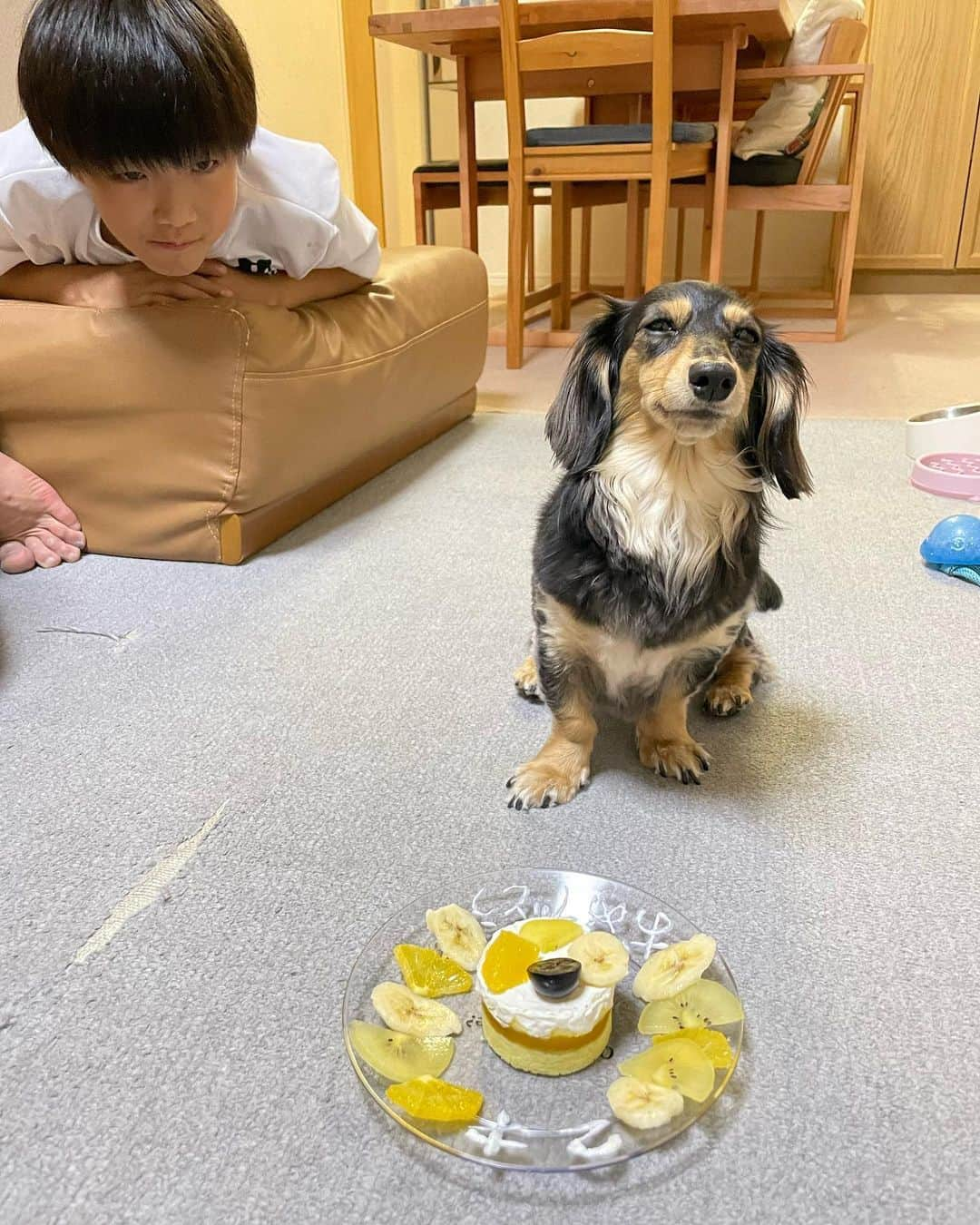 渡辺沙亜里さんのインスタグラム写真 - (渡辺沙亜里Instagram)「ユイちゃん誕生日おめでとう♡ 今回は手作りケーキでお祝いしました🥰  これからも元気でいてねーーー  @yui_watanabe624  @fumaclimb  #誕生日 #2歳 #ゆい #ミニチュアダックスフンド  #ブラックタン」6月24日 21時21分 - saari_watanabe