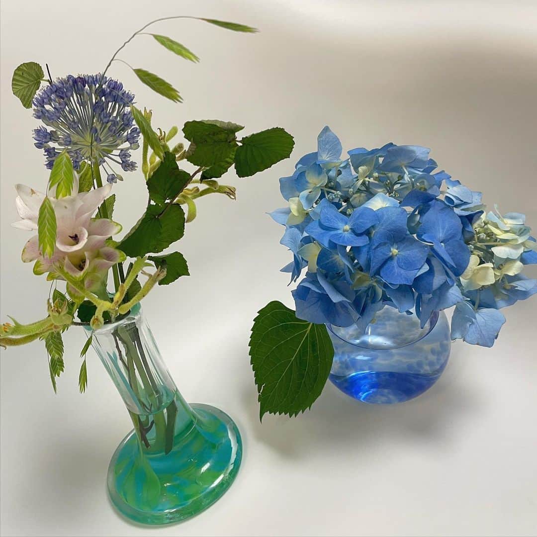 須田スミレさんのインスタグラム写真 - (須田スミレInstagram)「🌵 お父さんがくれたサボテンから父の日に花が咲いた( ¨̮ ) だけどたまに花が閉じる( ¨̮ ) 撮影で頂いた紫陽花の花束で花瓶が喜んでる♩ あともう1匹植物ある🪴 にぎやか(*｀∇´*）」6月24日 21時23分 - suu_0930