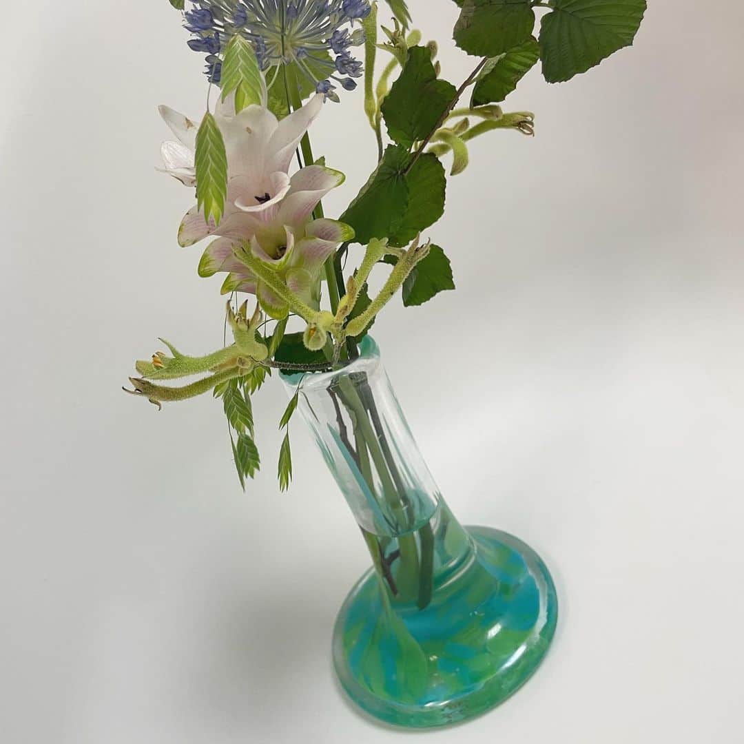 須田スミレさんのインスタグラム写真 - (須田スミレInstagram)「🌵 お父さんがくれたサボテンから父の日に花が咲いた( ¨̮ ) だけどたまに花が閉じる( ¨̮ ) 撮影で頂いた紫陽花の花束で花瓶が喜んでる♩ あともう1匹植物ある🪴 にぎやか(*｀∇´*）」6月24日 21時23分 - suu_0930