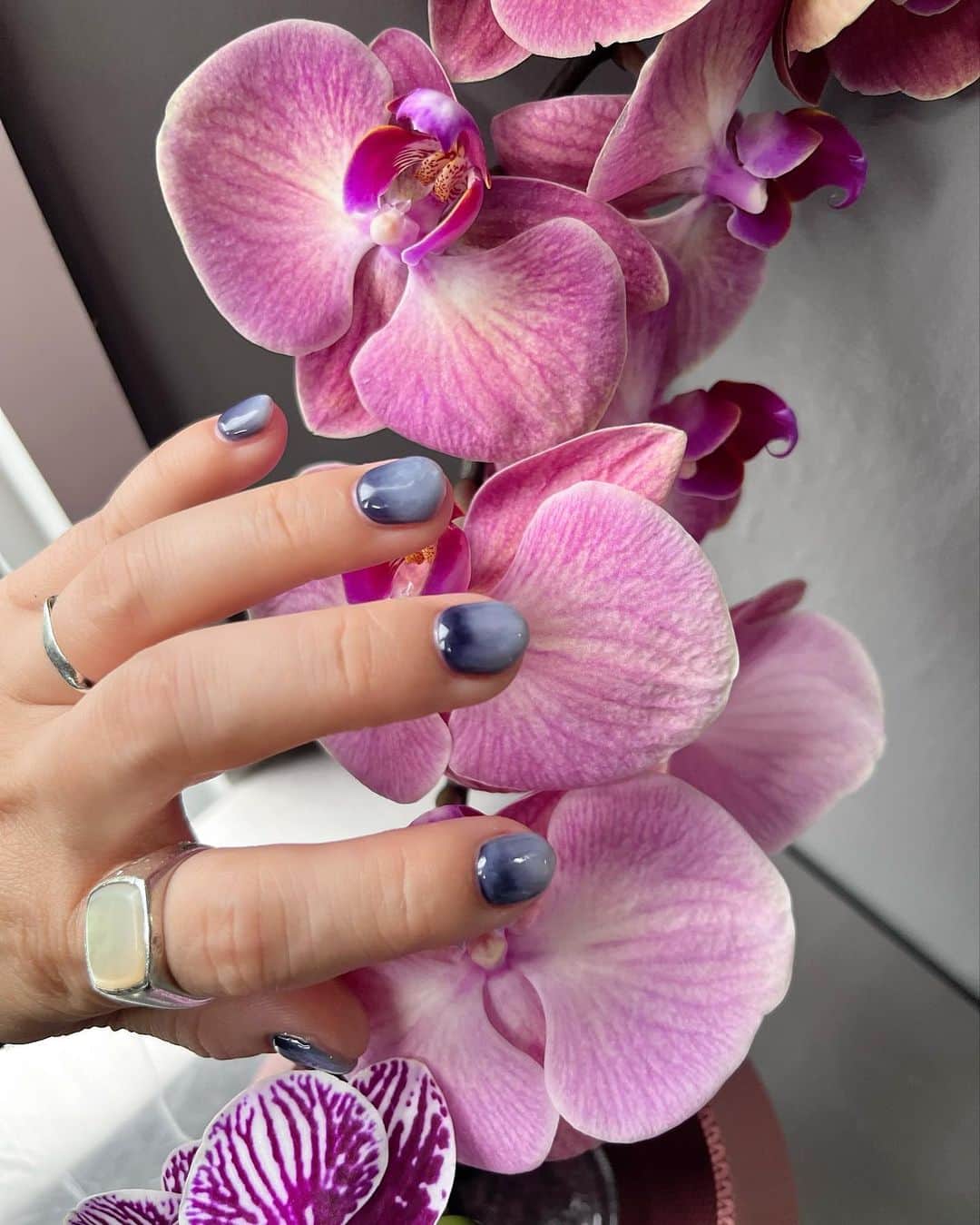 北岡りえのインスタグラム：「nail by @tetote929 💜  ゆる〜く話しながら ささっと完成してくれるねずちゃん。すきです。  #newnails  #nuancenail  #shortnails #夏ネイル」