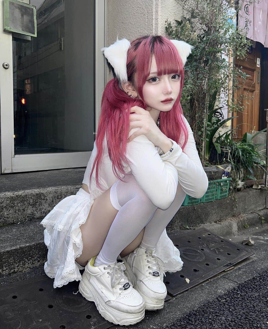 のインスタグラム：「白猫になり申した」
