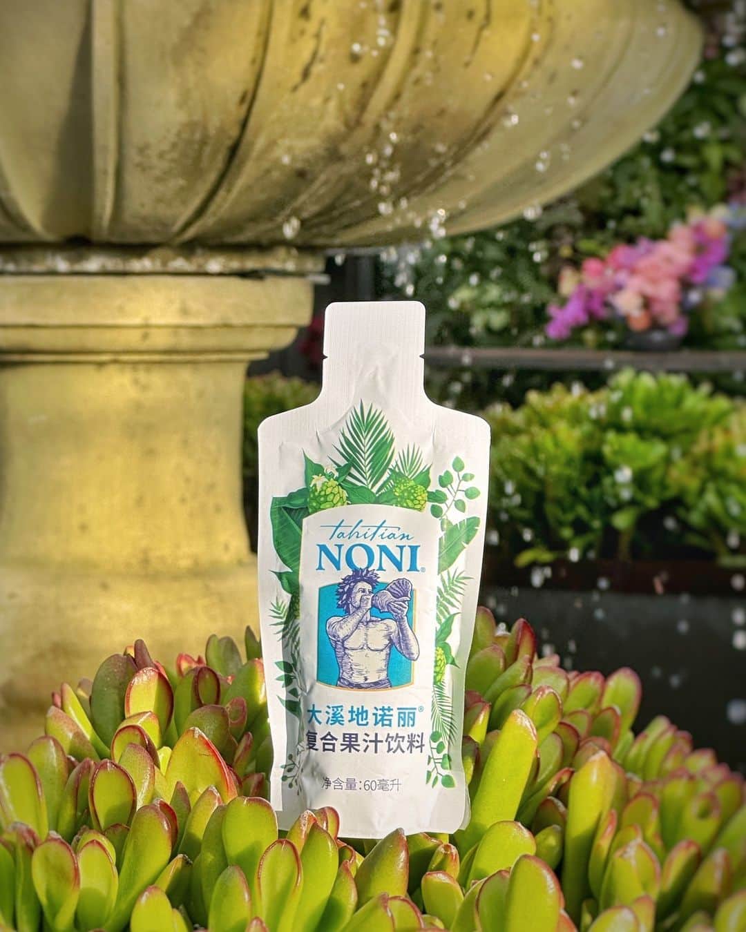 のインスタグラム：「What's inside every #TahitianNoni ORIGINAL Pouch?⁠ ⁠ 🌿Antioxidants ⁠ 🌿Adaptogens⁠ 🌿Essential nutrients ⁠ 🌿Phytonutrients⁠ ⁠ Learn about the benefits of these by clicking the link in our bio!⁠ ⁠ #PartnerCo #Noni」