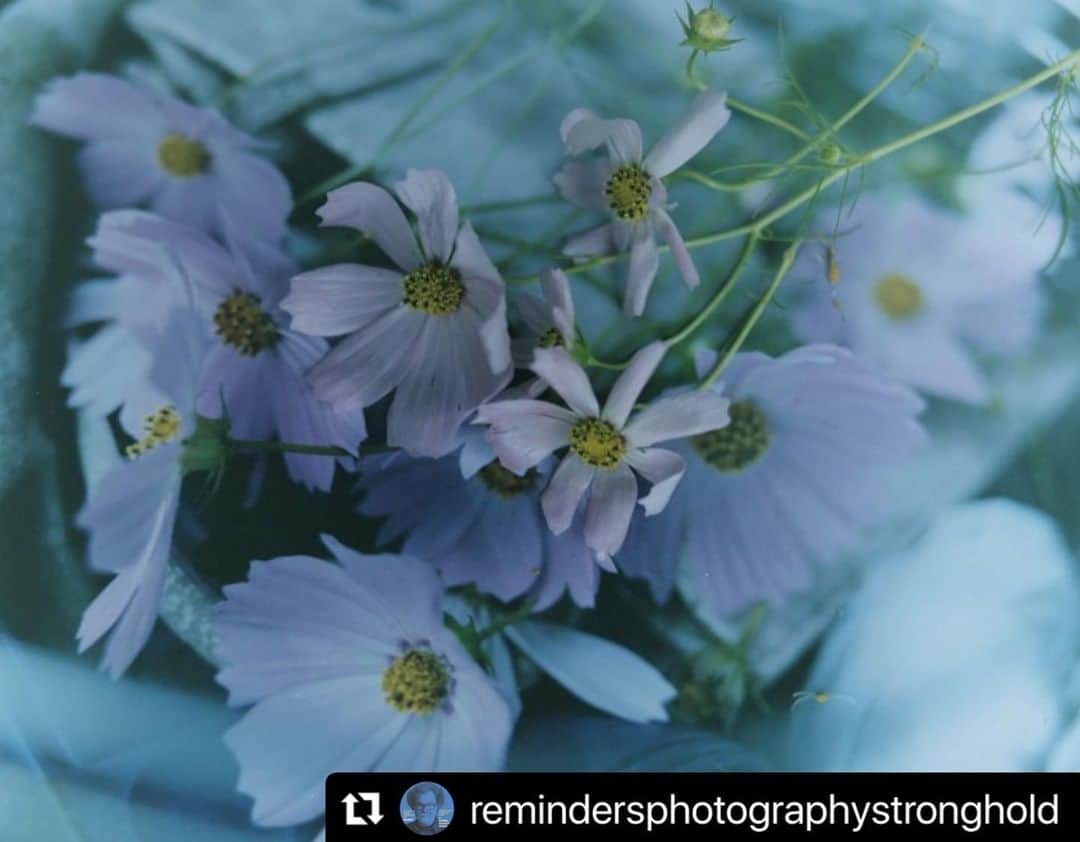 柏田テツヲさんのインスタグラム写真 - (柏田テツヲInstagram)「#Repost @remindersphotographystronghold with @use.repost ・・・ 6/25 1時- JIM CASPERに作品をピッチする日・LENSCULTUREに掲載される機会を掴もう！　PITCH YOUR PROJECT TO JIM CASPER  参加アーティスト紹介 #07 柏田テツヲ Tetsuo Kashiwada @tetsuokashiwada Title : WARASONO  片田舎に住んでいる両親と両親が住む家を私は撮影している。 一人っ子の私は、両親との話し合いの中でこの家を引き継がないと決まった時から 両親は家のことを含めた終活が始まった。 私が帰省する度に、家具などをまとめて捨てる父の作業光景を目にする。 方や母は庭で季節ごとに花を育ている。 父の捨てるという行為、方や母の花を育てるという行為。 その時間の裏側には生と死が見え隠れしている。 玄関先には母が大切に育てた花が生けてある。  プロフィール  旅をしながら自然や人に出会い、そこで感じた疑問に目を向け自然と人間の関係性、共存と分断、環境問題をテーマ に作品を制作している。第 42 回写真新世紀 佳作 サンドラ・フィリップス氏 選 、第 43 回写真新世紀 佳作 瀧本幹也氏 選、JAPAN PHOTO AWARD 受賞 Charlotte Cotton / Mutsuko Ota 選、2023 KYOTOGRAPHIE RUINART Japan Award 優秀賞など受賞。  個展 2019 年 STRANGER / AL gallery 2019 年 第 42 回写真新世紀受賞展 @ 東京都写真美術館 2020 年 第 43 回写真新世紀受賞展 @ 東京都写真美術館 2020 年 Into the Gray / TheNorthFace Standard Kyoto 2020 年 Into the Gray / book obscura 2021 年 JAPAN PHOTO AWARD 受賞展 / KYOTOGRAPHY 2022 年 OFF GRID Photo Festival / Wien 2022 年 屋久島国際写真祭 @ 屋久島  I am photographing my parents and the house they live in in a rural area. I am an only child and when it was decided in discussions with my parents that I would not take over this house. My parents started their ‘SHUKATSU’, end-of-life activities, Whenever I return home, I see my father working on the house, throwing away all the furniture and other things. On the other hand, my mother grows seasonal flowers in her garden. My father's act of throwing things away and my mother's act of growing flowers. Behind this time, life and death can be seen and hidden. At the entrance to the house, there is a flower arrangement that my mother carefully nurtured.  __________ 【【6/25 1時- JIM CASPERに作品をピッチする日 / Pitch your project to Jim Casper】 ◎日時：2023年6月25日(日)午後1時〜 / June 25th 1pm- ◎会場　Reminders Photography Strongholdギャラリー 東京都墨田区東向島2-38-5 / Higashimukojima 2-38-5, Sumidaku, Tokyo ◎参加費無料 / 事前申し込み不要 / Free admission, no reservation needed」6月24日 13時19分 - tetsuokashiwada