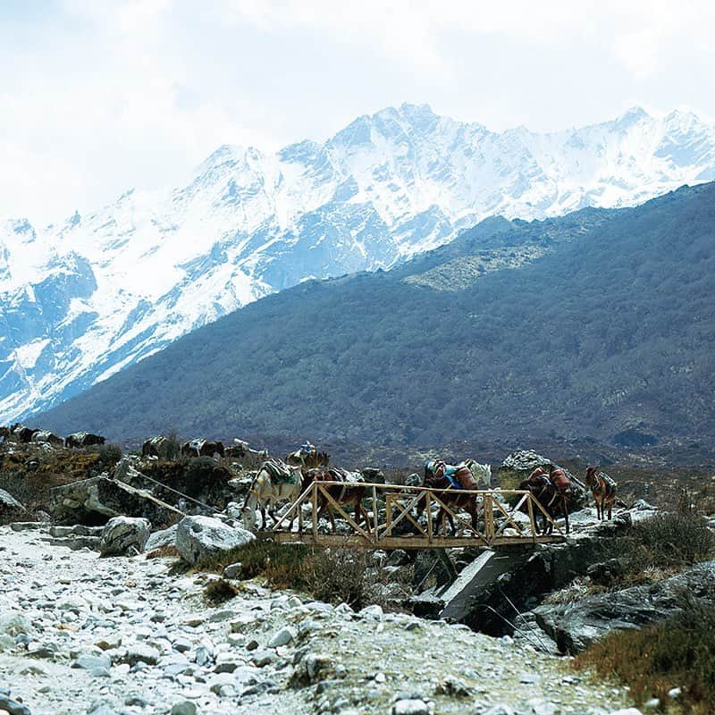 ブルータスさんのインスタグラム写真 - (ブルータスInstagram)「ネパール・やさしいヒマラヤ山歩旅。  最新号「山を、歩こう。」では「世界で最も美しい谷の一つ」と呼ばれるランタン谷を訪れました。  ゴールも目標も決めずに歩いた、やさしくて平和な6日間の記録。  #BRUTUS #ブルータス #雑誌 #山 #山歩き #ネパール #ヒマラヤ山脈 #nepal #mountain #walk #magazine」6月24日 21時00分 - brutusmag