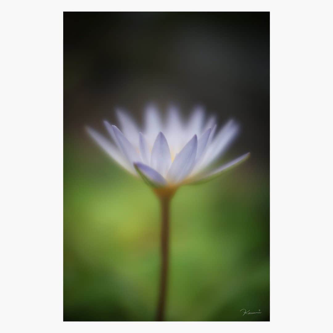 花澄のインスタグラム