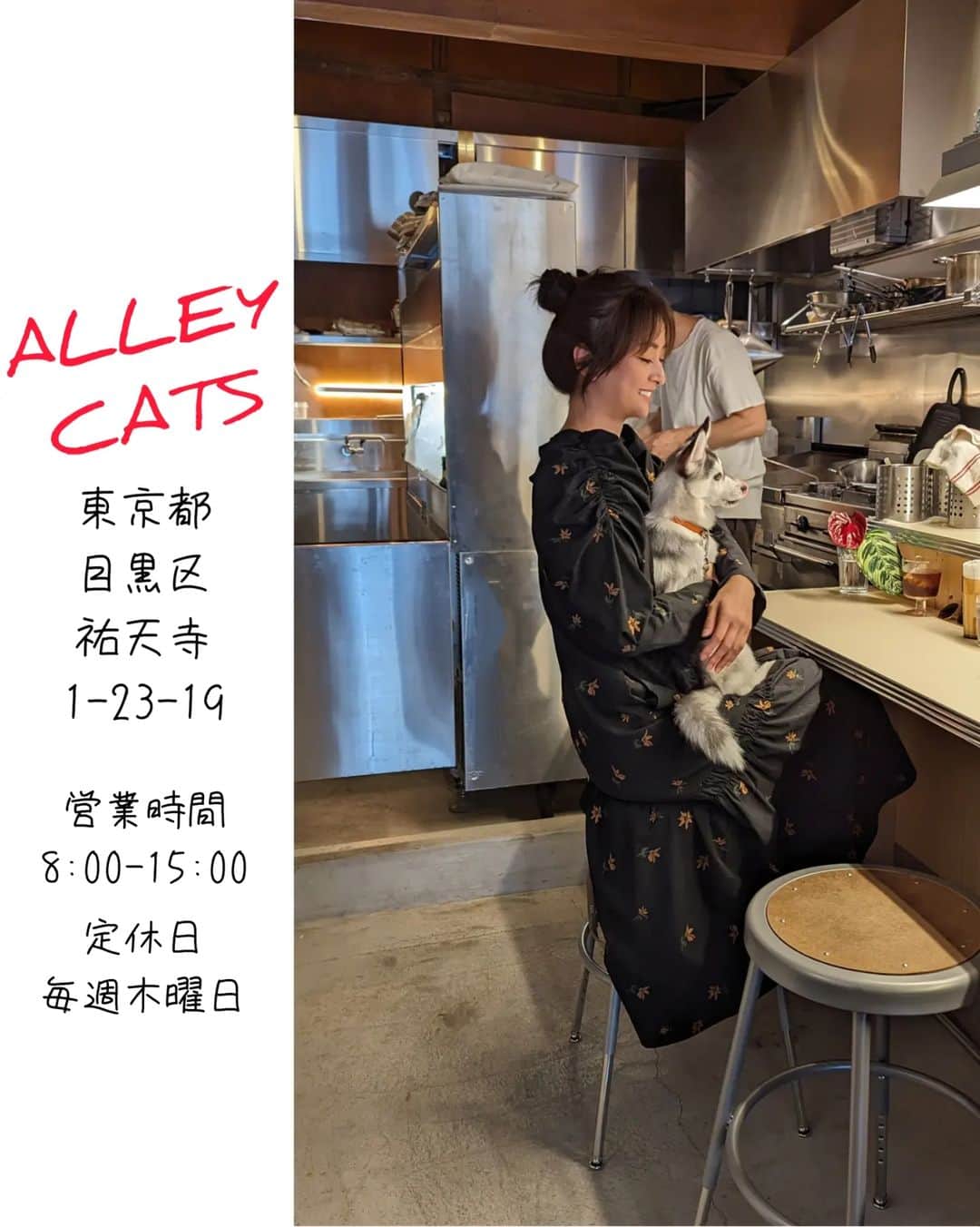 Yoshiko Kris-Webb クリス-ウェブ佳子さんのインスタグラム写真 - (Yoshiko Kris-Webb クリス-ウェブ佳子Instagram)「野良猫(ALLEY CATS)に犬連れて。 @alley_cats_yutenji」6月24日 15時29分 - tokyodame