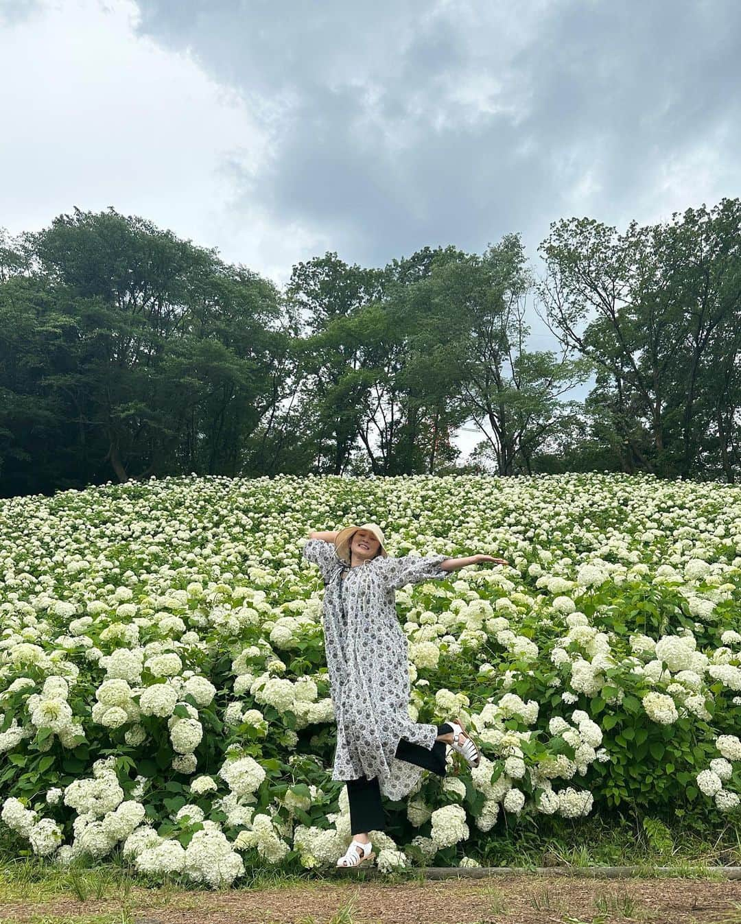 masakiさんのインスタグラム写真 - (masakiInstagram)「アナベルの雪山 すすむとアナベルの丘へ もうすぐ80 山登りも休み休み 足腰鍛えて長生きしてね！」6月24日 16時36分 - mogurapicassowols