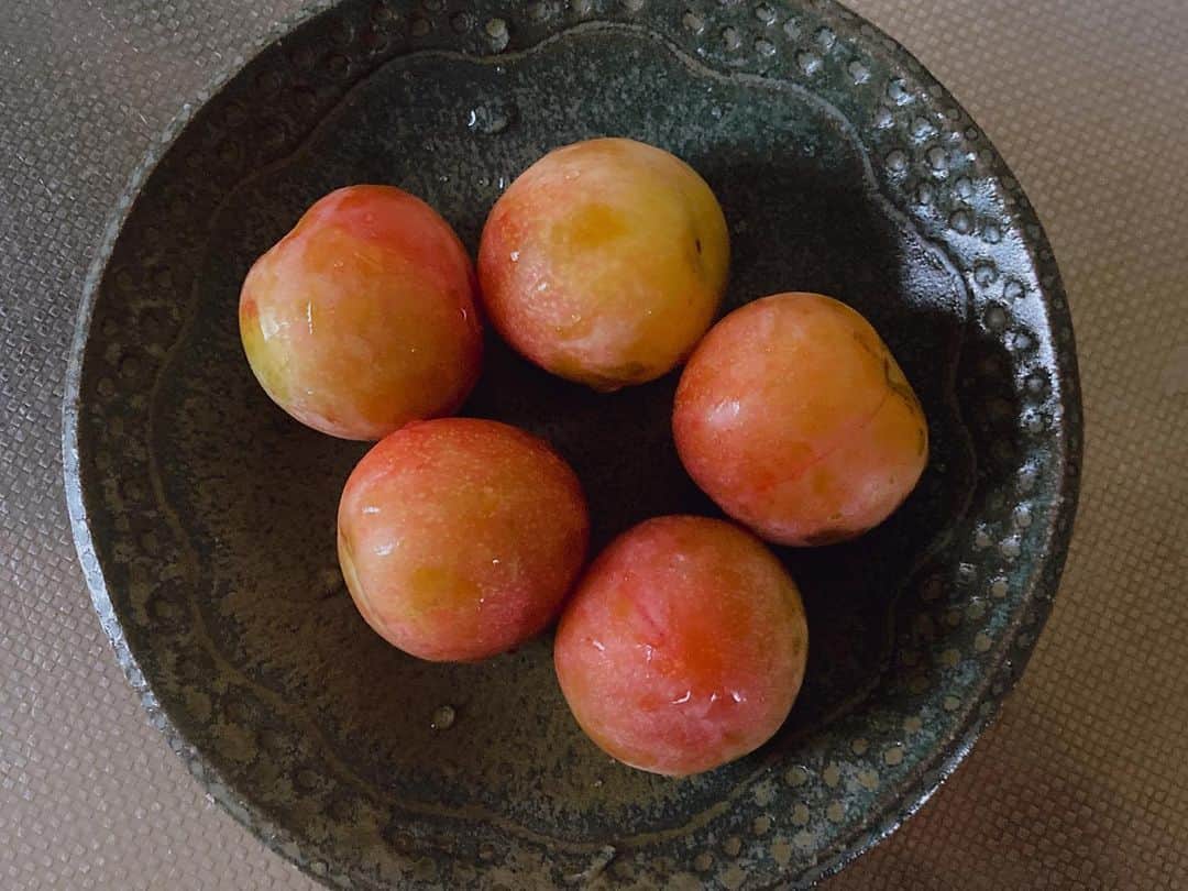 土井コマキのインスタグラム：「毎年たのしみにしている、小豆島からの美味しい季節のお便り。想う壺ツアーをやった時に、たくさん差し入れをしてくださった  @chan_fujimoto さん。それからのご縁です。ありがたくパワーチャージさせてもらいます。本当にありがとうございます。  想う壺ツアーまたやりたいなぁ。さらなる運営仲間が欲しいです。  #小豆島 #shodoshima  #すもも」