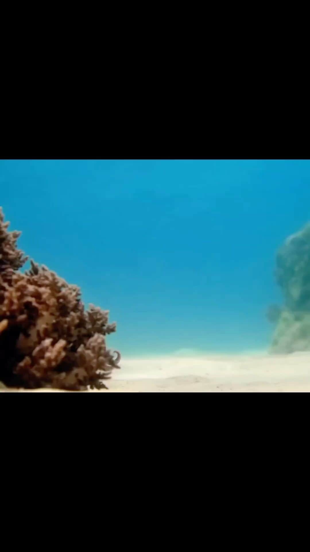 エイミー・セダリスのインスタグラム