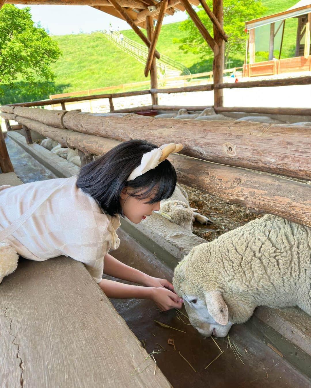 カン・インギョンのインスタグラム：「🐑」