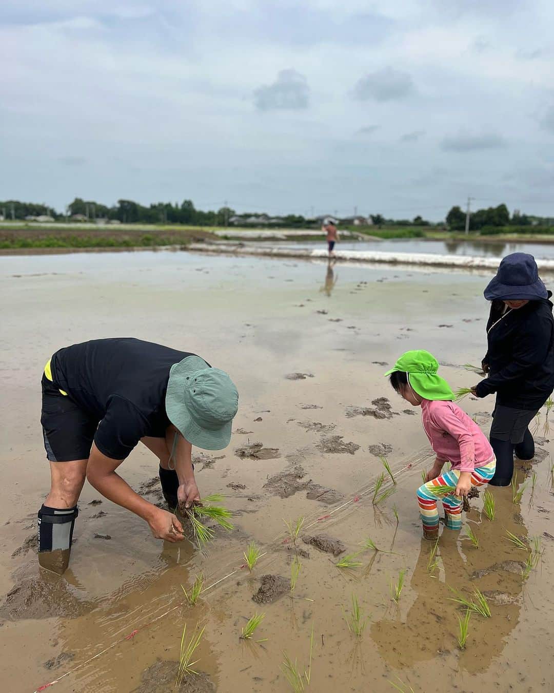 恋人バレンタインの泥んこ仲間のレシピ