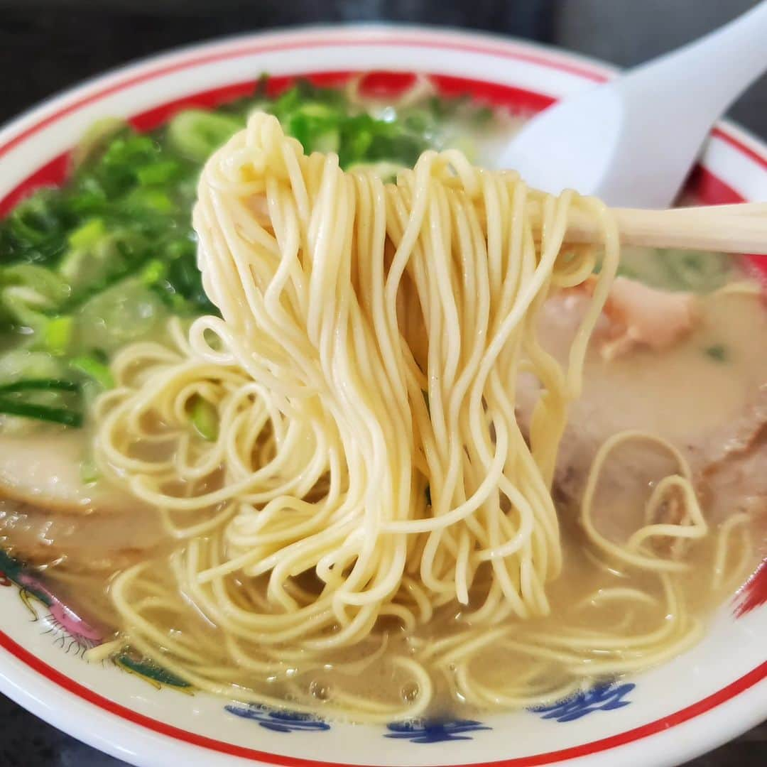 田畑竜介さんのインスタグラム写真 - (田畑竜介Instagram)「今週の麺、麺、麺、丼、麺✨  #ふくおかグルメ  #ラーメン #うどん #ちゃんぽん  #カツ丼 #焼きそば  #福重家 #こまどりうどん  #長崎亭 #當仁うどん  #手作り焼きそば」6月24日 17時57分 - tabacchi_rkb