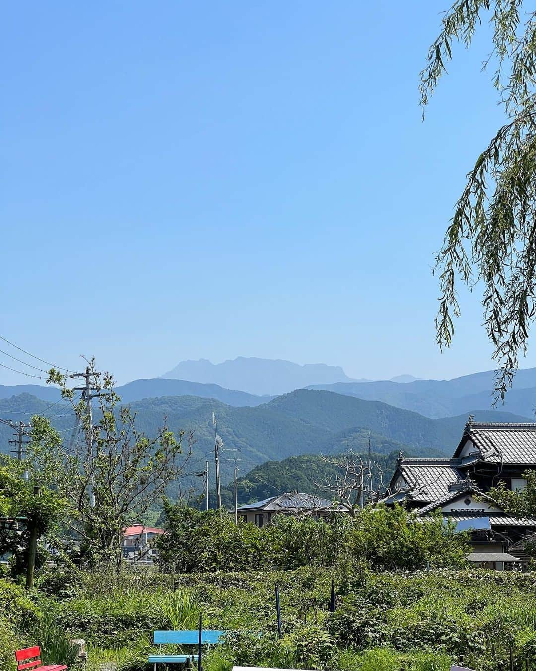 川田御早希さんのインスタグラム写真 - (川田御早希Instagram)「聖徳太子により創建され、愛媛県内最古の法安寺からうっすらと見えた真ん中の石鎚山は、まるで寝仏のように見えました⁉︎ #寝仏 #涅槃 #法安寺 #千本ぼたん #千本ぼたんの寺」6月24日 18時52分 - misaki_kawada