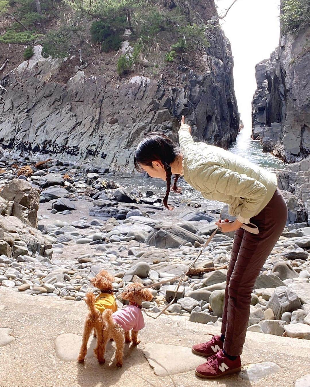 茉莉さんのインスタグラム写真 - (茉莉Instagram)「🌊🪨🌳 （スワイプしてね🐾） . . 宮城県おすすめスポット！ 素敵な伝説のある、『神割崎』☀️ . . 昔々、ここに大きなクジラ🐳が打ち上げられました… その周りはちょうど、村と村の間でした。 キチンとした境界線などがない事がきっかけで 鯨をめぐって争いが起きてしまったんです🔥 そんな時、神様が 【ちゃんと平和に仲直りしなさい！】という仲裁で ものすごい落雷⚡️と共に、 🪨も🐳も真っ二つに割ったんだそうです… 以来、この岩の割れ目を両村の境界としているんだとか！ . . なんだかほっこりする言い伝えですよね☺️ 神秘的なところでした🌿🚙 . . . #神割崎#女ひとり旅#車旅#ドライブスポット#宮城観光#都市伝説 #女ひとり #犬連れ旅#わんこと旅行 #バンライフ#車中泊#車中泊女子#アウトドア女子 #デリカd5がある生活 #デリカのある生活#旅日記#車旅行#東北一周#日本一周中」6月24日 18時59分 - mari._xx