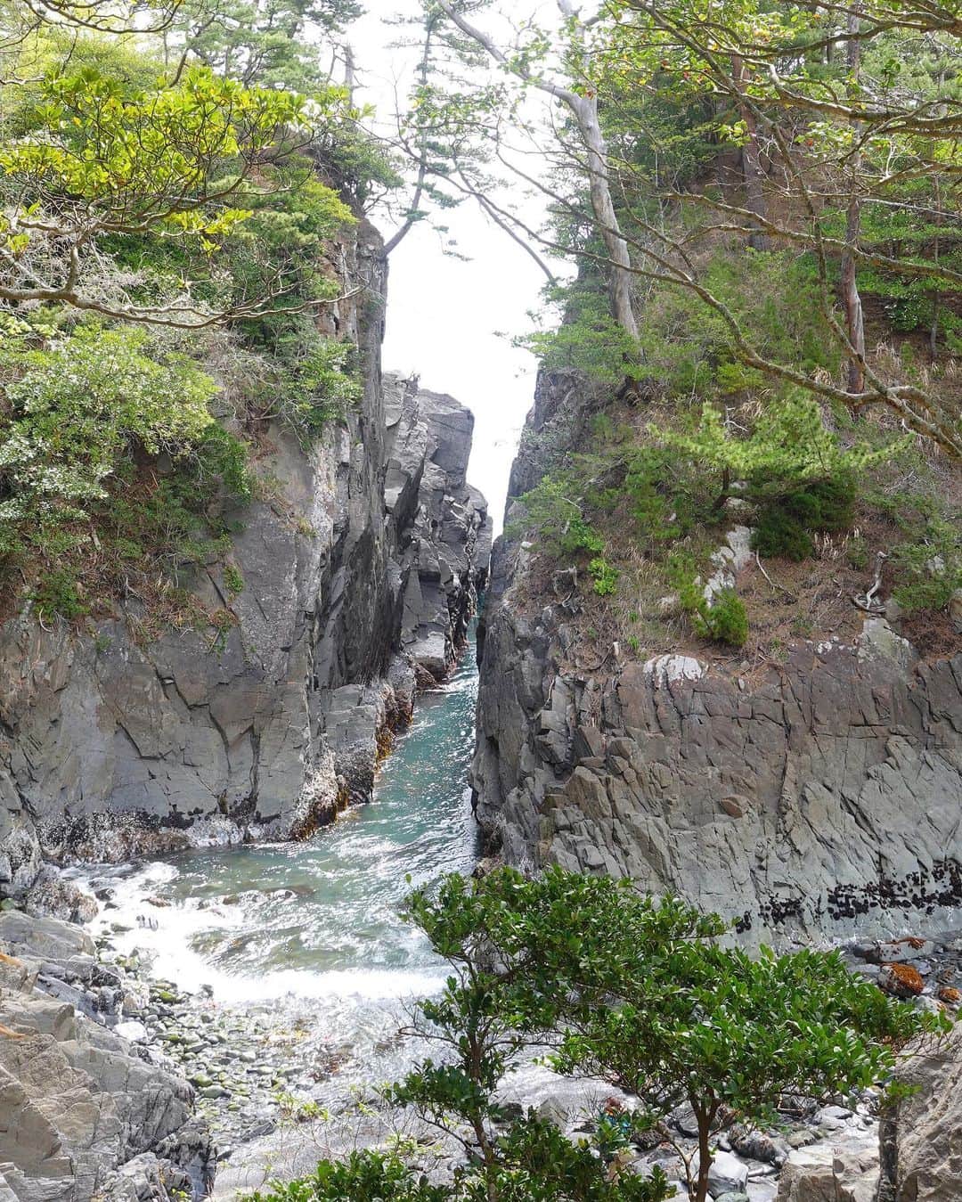 茉莉さんのインスタグラム写真 - (茉莉Instagram)「🌊🪨🌳 （スワイプしてね🐾） . . 宮城県おすすめスポット！ 素敵な伝説のある、『神割崎』☀️ . . 昔々、ここに大きなクジラ🐳が打ち上げられました… その周りはちょうど、村と村の間でした。 キチンとした境界線などがない事がきっかけで 鯨をめぐって争いが起きてしまったんです🔥 そんな時、神様が 【ちゃんと平和に仲直りしなさい！】という仲裁で ものすごい落雷⚡️と共に、 🪨も🐳も真っ二つに割ったんだそうです… 以来、この岩の割れ目を両村の境界としているんだとか！ . . なんだかほっこりする言い伝えですよね☺️ 神秘的なところでした🌿🚙 . . . #神割崎#女ひとり旅#車旅#ドライブスポット#宮城観光#都市伝説 #女ひとり #犬連れ旅#わんこと旅行 #バンライフ#車中泊#車中泊女子#アウトドア女子 #デリカd5がある生活 #デリカのある生活#旅日記#車旅行#東北一周#日本一周中」6月24日 18時59分 - mari._xx