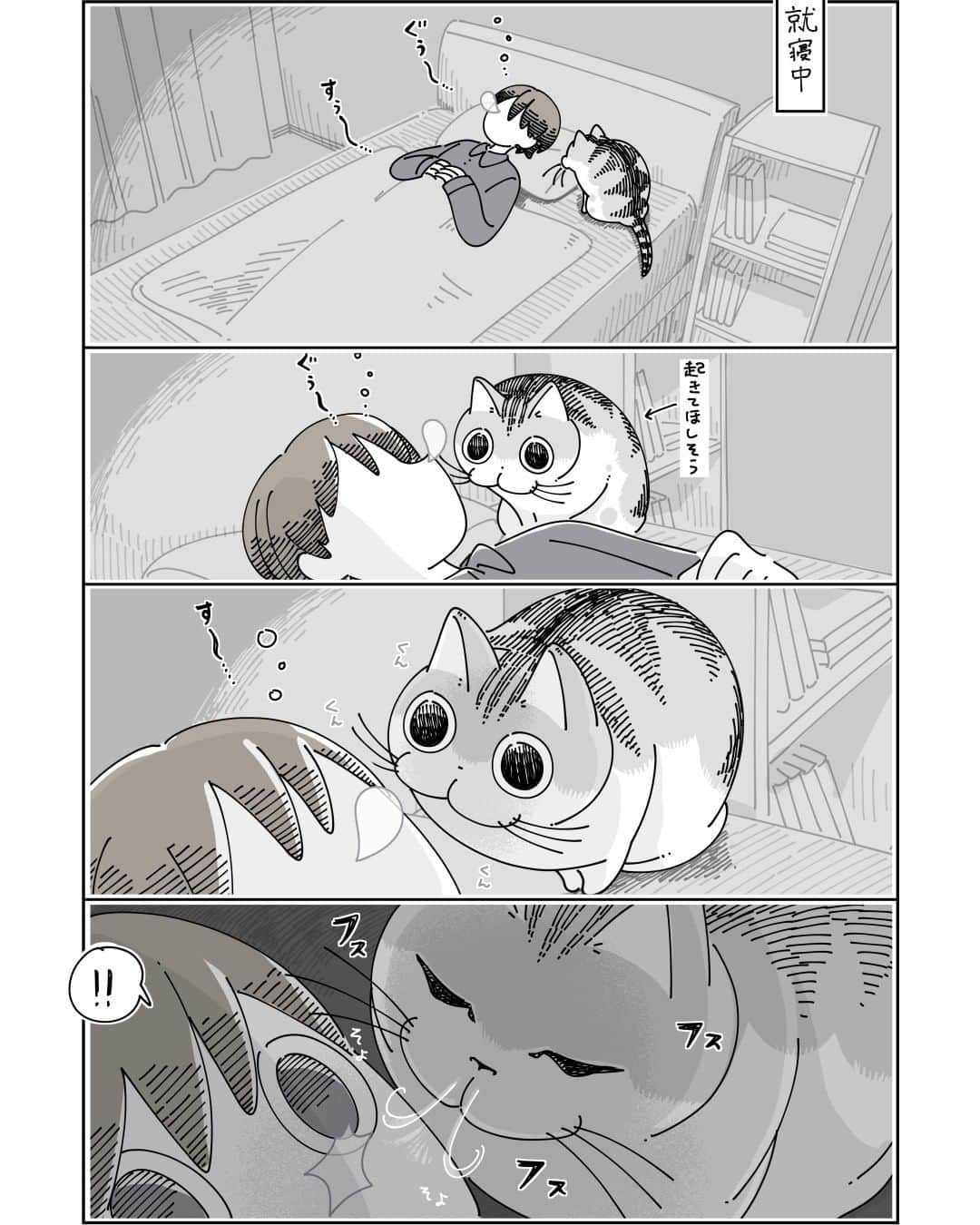 キュルZのインスタグラム：「鼻息で起こすネコ  #キュルガ #夜は猫といっしょ #猫 #cat #猫漫画 #猫のいる暮らし」