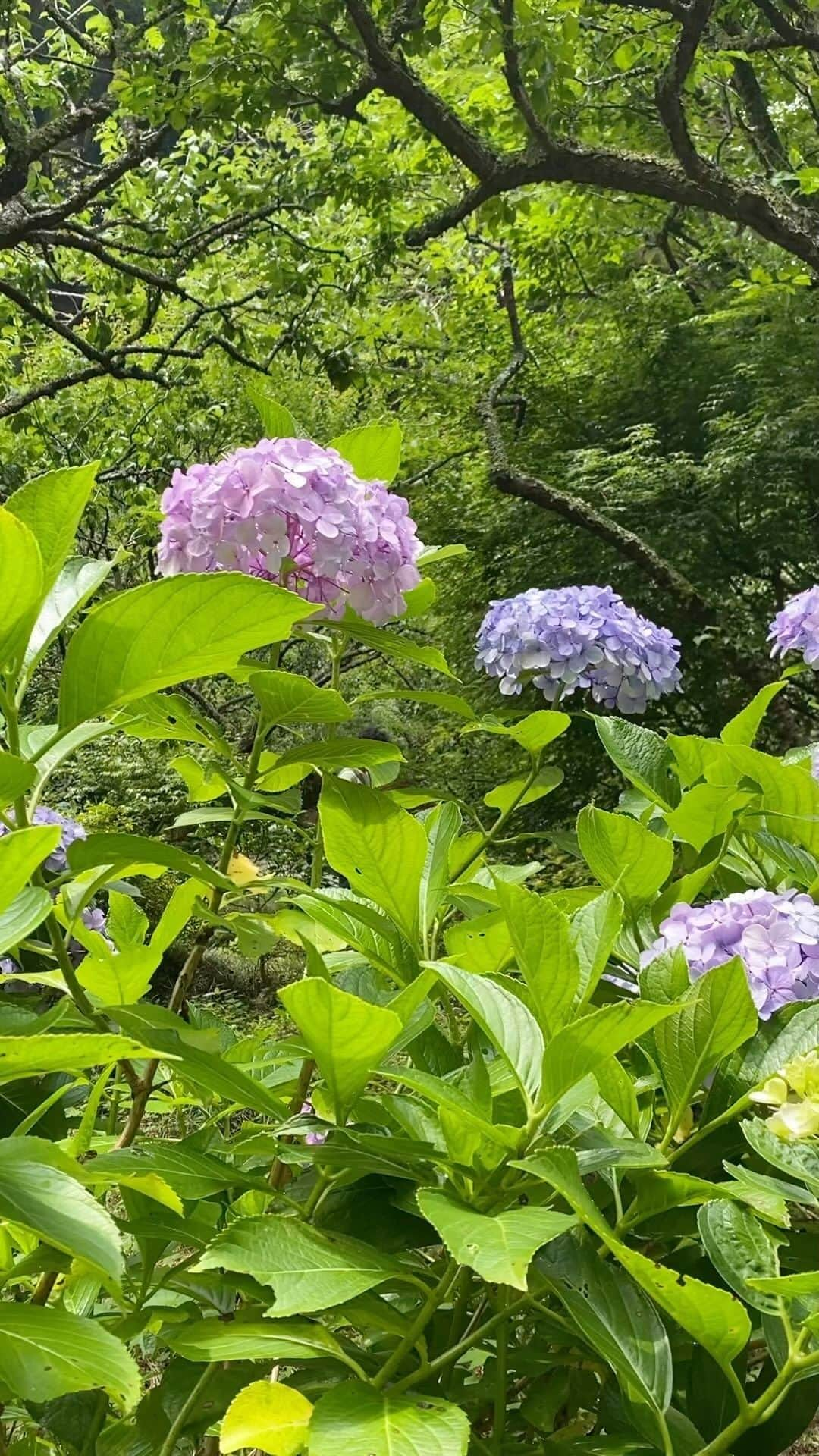 前田有紀のインスタグラム