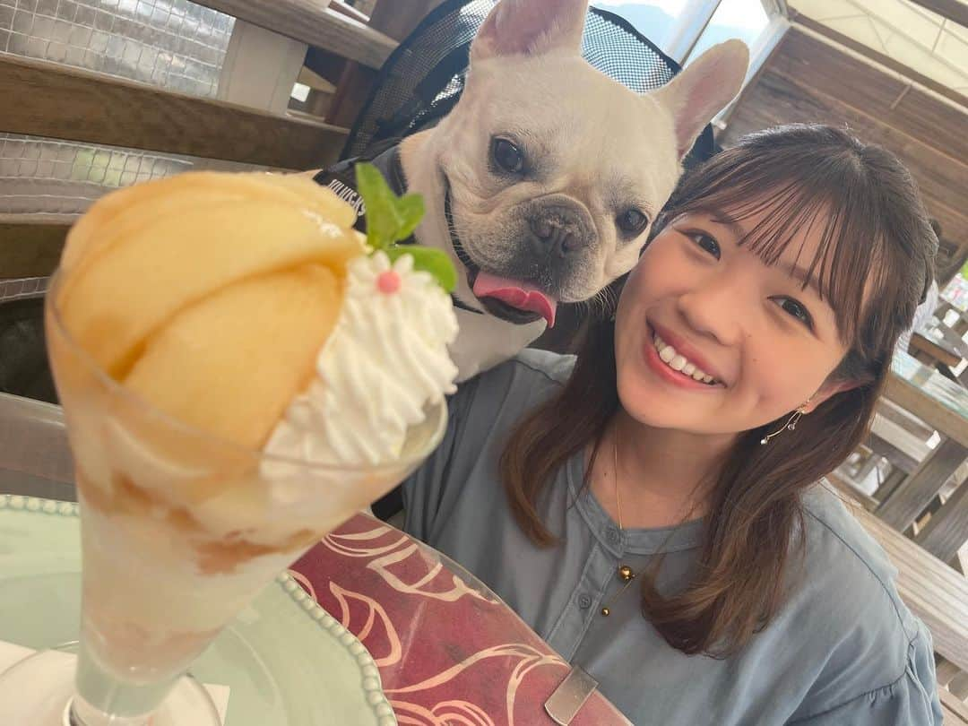 大森万梨乃のインスタグラム：「ㅤㅤㅤ ㅤㅤㅤ わんこ旅で訪れた #サリーズカフェ 🐶 今日のくさデカでも紹介されてましたね！ ㅤㅤㅤㅤㅤㅤㅤㅤㅤ テラス席は今日もわんちゃんがいっぱいでした🐾 ㅤㅤㅤㅤㅤㅤわんこ用のメニューも一つ一つ手作りなのが嬉しい！ ㅤㅤㅤ そして長田の桃パフェは やっぱり美味しかった〜🥹✌️ ㅤㅤㅤ #静岡犬連れ #静岡犬連れカフェ #静岡犬とおでかけ  #静岡カフェ #静岡パフェ #静岡犬とお出かけ #静岡ペット可  ㅤㅤㅤ」