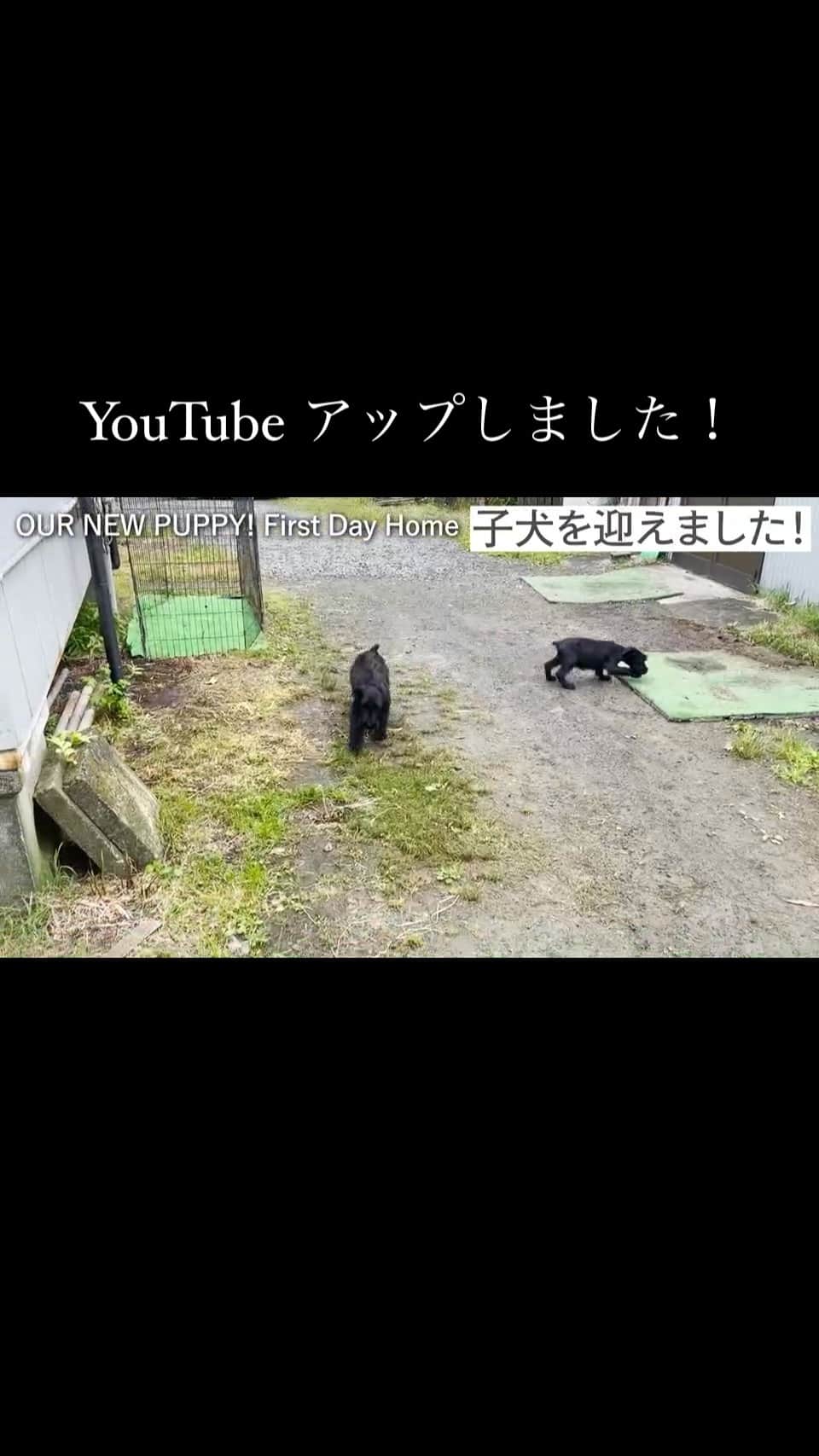 のインスタグラム