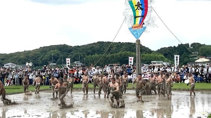 森井ユカのインスタグラム：「泥んこ遊びじゃないよ、耕しているのです…！　豊穣を祈る1000年続く三重県・伊雑宮の4年ぶり御田植祭を見てきました。詳しくは今夜のTwitter spaceにて😊日本にはまだまだ知らないことがいっぱい。  It is a Japanese Shinto ritual that has continued for more than 1,000 years. Japan is still full of sights I have never seen. (at Mie Prefecture)  #伊雑宮 #御田植祭 #伊雑宮御田植祭」