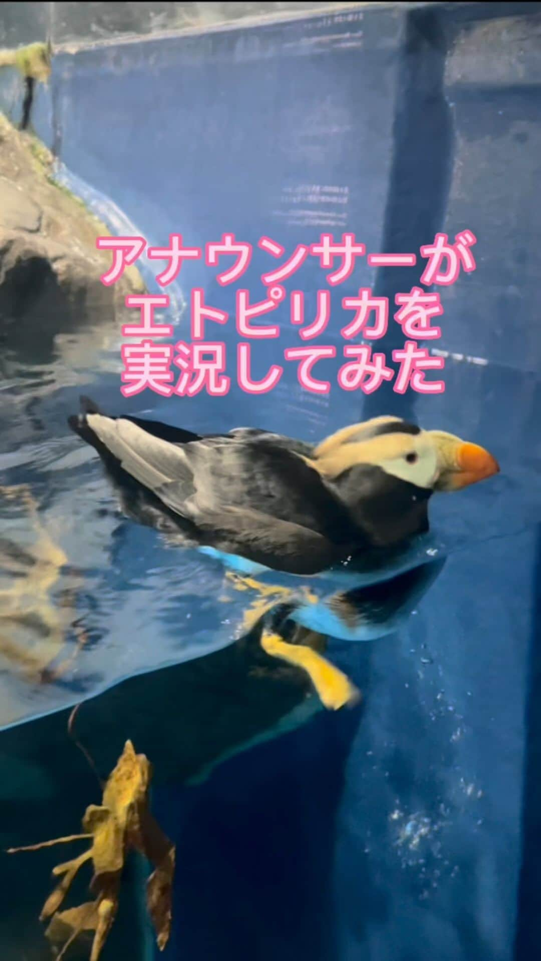 雫石将克のインスタグラム