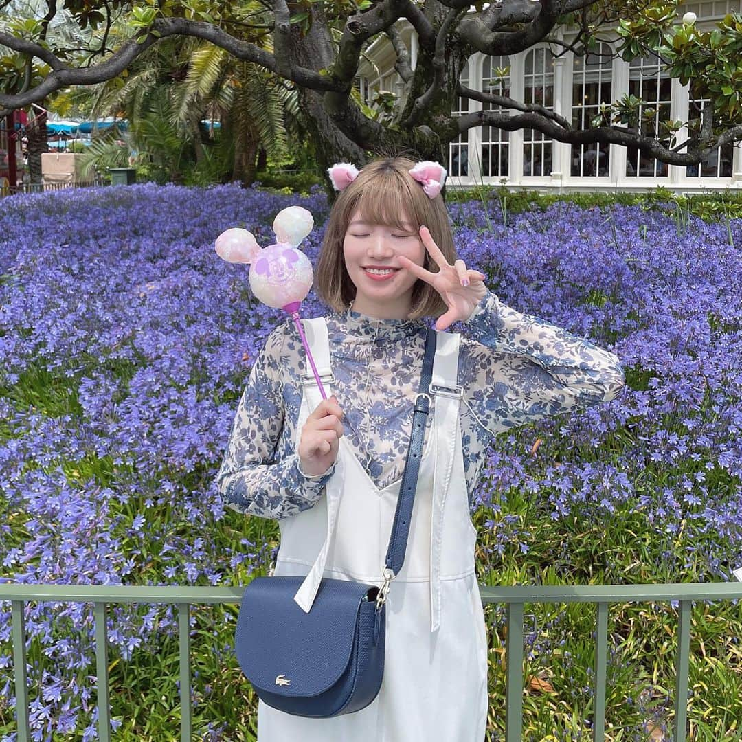 サワデーさんのインスタグラム写真 - (サワデーInstagram)「TDL 40th おめでとう🙌 ⁡ ⁡ やっぱりアニバーサリーイベントは特別だよね💐 ⁡ ⁡ 自分もTDSの15thが本当に本当に大好きで1年間時間をたくさん使ってお祝いしたので、陸の民達はこれからお祝いの毎日が始まるんだと思ったらめちゃくちゃ羨ましい🥹 ⁡ ⁡ ⁡ 撮影で行った日はとにかく日差しが強くて、写真撮ろうとすると眩しくて眩しくて...笑 ⁡ ⁡ ⁡ でもかわいいお花が沢山咲いていたので、我々も珍しく写真を沢山撮ったよ🌼 ⁡ ⁡ ⁡ YouTubeもみてねん😌 ⁡ ⁡ ⁡#tokyodisneyland #ディズニーランド40周年 #ディズニーコーデ #ディズニーカチューシャ #ディズニー #TDL」6月24日 20時47分 - sawadesan