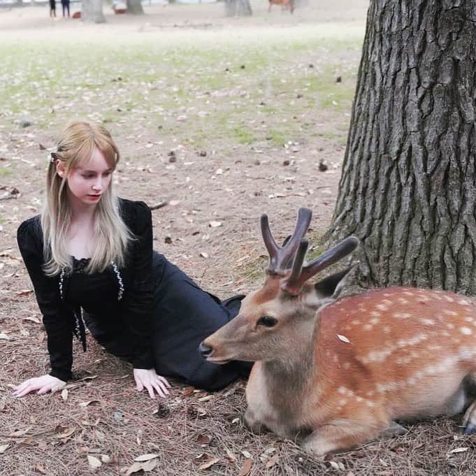 ジェマ・ルイーズのインスタグラム：「奈良で出会った鹿さん🦌 一緒に自然を満喫しました🍂　#奈良 #鹿 #奈良公園 #nara #narapark #deer #deers #naradeer」