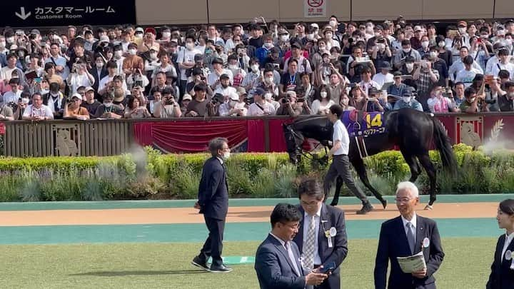 星野涼子のインスタグラム