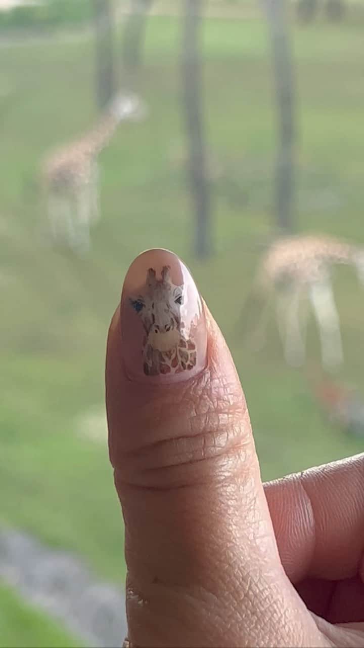 のインスタグラム：「🦒🦒🤍🤍  親指にキリンを連れて、キリンとご対面🥰 かわいい動画ありがとうございました🥹🫶🏼💓🦒」