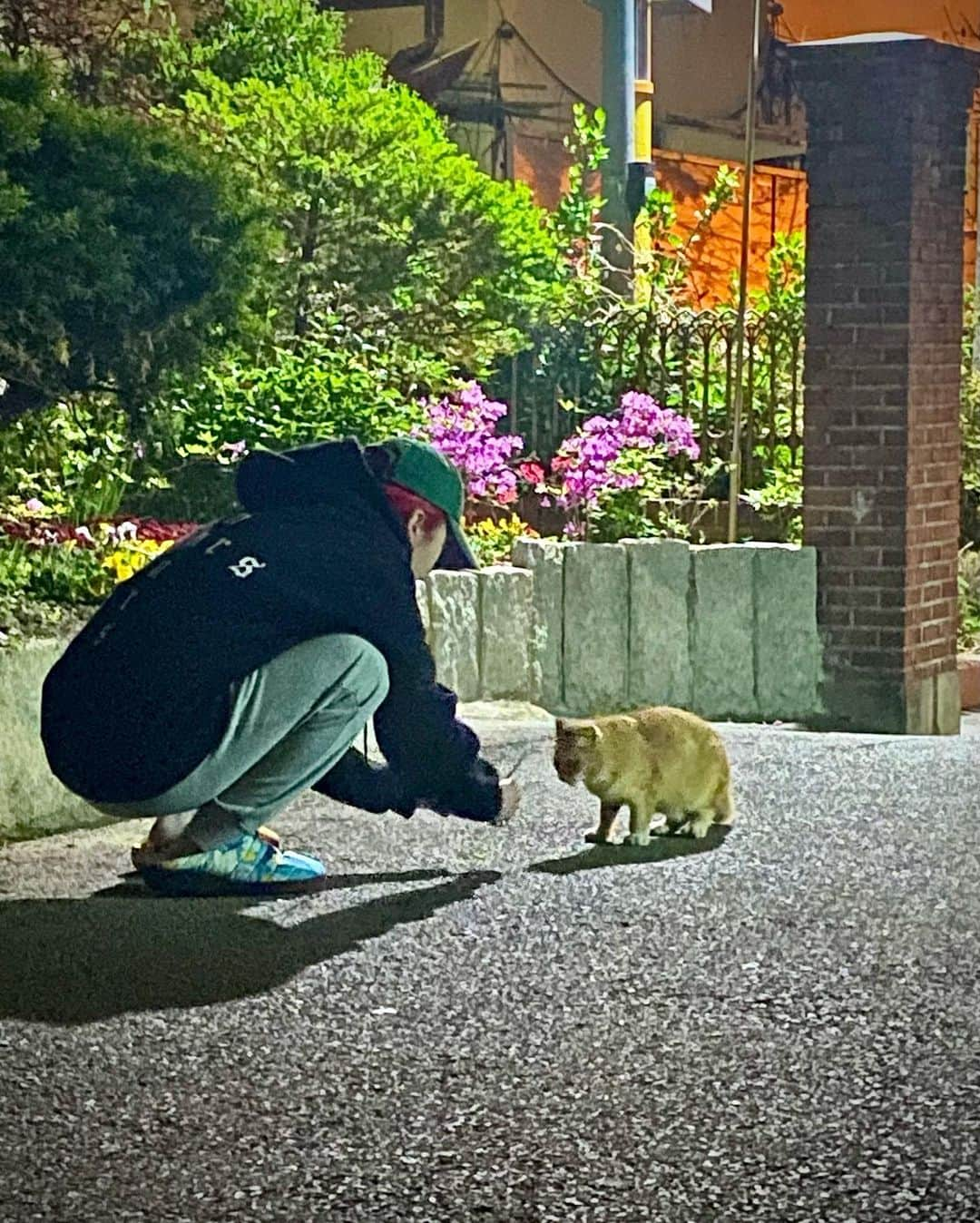 チョン・ジウ・ウーさんのインスタグラム写真 - (チョン・ジウ・ウーInstagram)「빨간 머리 안뇽~.~」6月25日 1時37分 - _zziwooo0