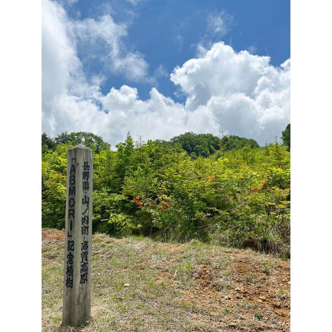 松尾翠さんのインスタグラム写真 - (松尾翠Instagram)「ABMORI🌲🌳🌿  行けてよかったなぁ…⛰🌲  子どもたちみんな、生き生きしてました。 いつか植えたこの森を またみんなで観にこよう。  最後の写真は、2015年から2017年に植えた場所だそう。  同一種だけじゃなく、色々な木々を合わせることで作られていく…森の美しさがしっかりと始まっていて…胸が熱く。  にしても、写真を見返していたら ボーの藁運びの職人風情がかっこいい。おもしろい。 こどもたち、みんな土と木の作業に夢中でした！  市川家のおにーちゃんおねぇちゃんとたくさん過ごせて 5人で賑やか✨  さーーまだ京都にはもちろん着いてません🤣🚗 私の運転ターンは終了😁 2週連続の週末信州もこれにて終了🥷 高原は気持ちいい〜  #abmori #植林 #植樹 #毎日がアースデイ#アースデイ #いのちの森づくり #家族旅 #翠さんの地球旅#志賀高原 #信州 #長野旅 #子供との時間#さんきょうだいママ#自然と共に生きる」6月25日 17時04分 - midori.matsuo_official