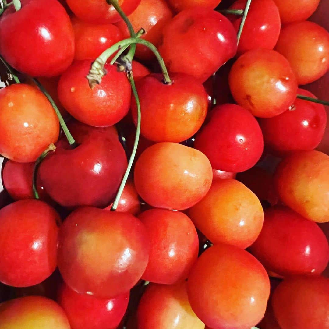 小林 ディスカスのインスタグラム：「福島の母から、 さくらんぼ🍒と、 ちまきが届きましたっ！！  そろそろ福島にもBASEを広げて、 仕事したいなー！！  #tokyo #japan #fashion #beauty #東京ライフ」