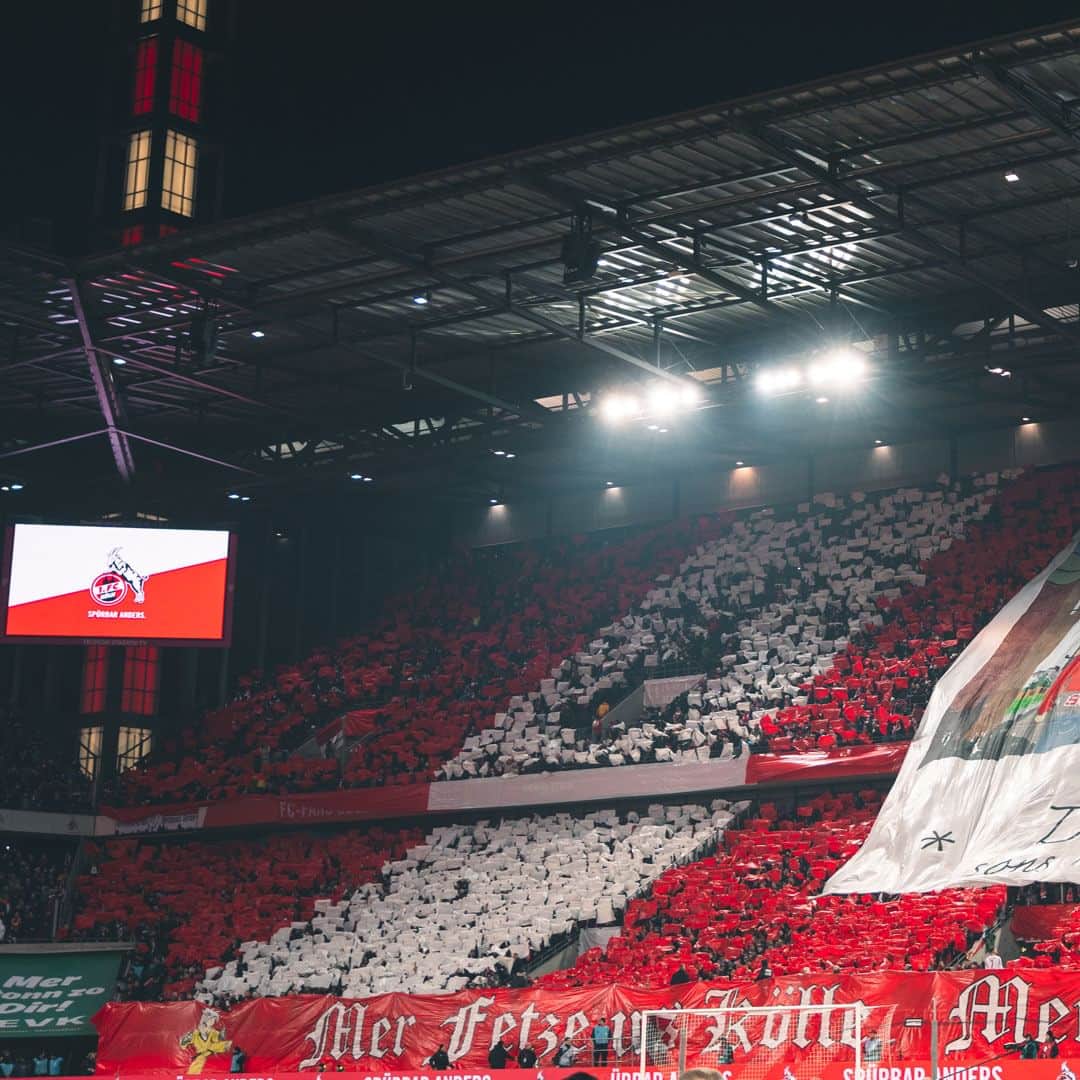 1.FCケルンのインスタグラム：「Unsere Saison in Choreos – 𝐍𝐨. 𝟔 🔴⚪ ___ #effzeh #KOESVW」