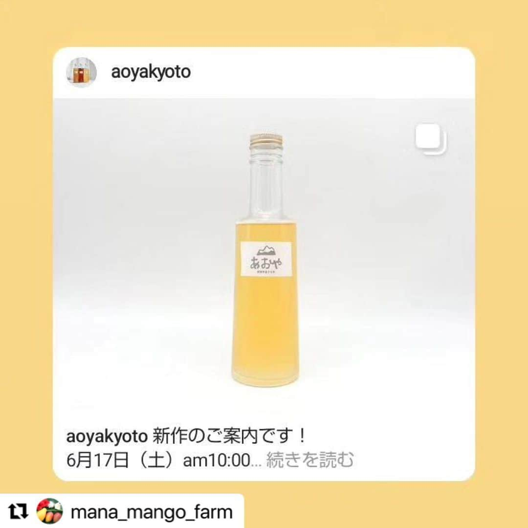 青山有紀さんのインスタグラム写真 - (青山有紀Instagram)「いま発売中の【大和当帰&青マンゴーの酵素シロップ】の無農薬無化学肥料マンゴーを育ててくれている#manamangofarm のふみかちゃん💚🥭💚 フラワーエッセンスのよしこ先生がご縁を繋いでくれてからずっと大好きで尊敬している友人です💗✨ いつもありがとう😻💕  #Repost @mana_mango_farm with @use.repost ・・・ 青家　薬膳料理家の青山有紀さんの手作り酵素シロップ。  先日発売の新作に当園の青マンゴーを使っていただきました。  有紀ちゃんの素材に対する情熱と、生命への感動のようなものがこのシロップになっているように感じます。  そのせいか私は青家の酵素シロップを飲むと色々な体感があるのですが、それは素材や微生物のもつエネルギーがそのままダイレクトに入ってくる感覚と、つくり手の感動の波が私にも広がってくるからだと思います。  今回のシロップは 女性を助けてくれる薬草『大和当帰』の葉っぱと花をふんだんに使った薬膳ブレンド酵素シロップ。  入っている桜のフラワーエッセンスは 『自己信頼を高めエネルギーに満ちる波動。』 自分の中心に安心して戻りたい時にぴったりだそうです。  そして身体に入ったときの酵素の働きもまたすごいです。 つわりで水も飲めなかった時に不思議と有紀ちゃんの酵素は飲めて、空腹のときに飲んだらもう途端にスルスルぽん！でした。笑  青家のインスタをぜひ覗いて見て下さい！  @aoyakyoto @yukiaoya  #青家 #酵素シロップ #薬膳ブレンド #大和当帰 #青マンゴー #無農薬 #無化学肥料 #マナマンゴー #フラワーエッセンス」6月25日 16時06分 - yukiaoya