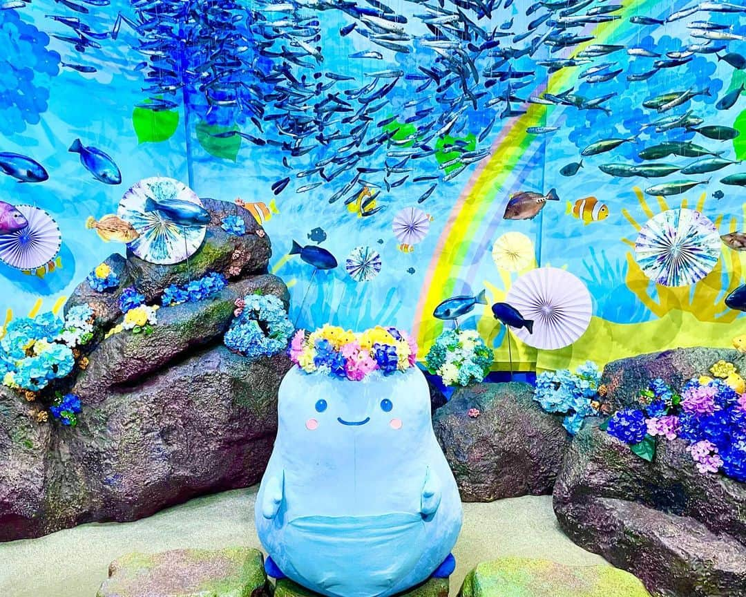 上原歩子さんのインスタグラム写真 - (上原歩子Instagram)「江ノ島水族館で買った『あわたん🫧』 あゆたんと一文字違いで親近感🥰🥰 可愛い💖 会えて嬉しかった🫧🍓☺️ #あわたん  #江ノ島水族館」6月25日 16時29分 - uehara_ayuko