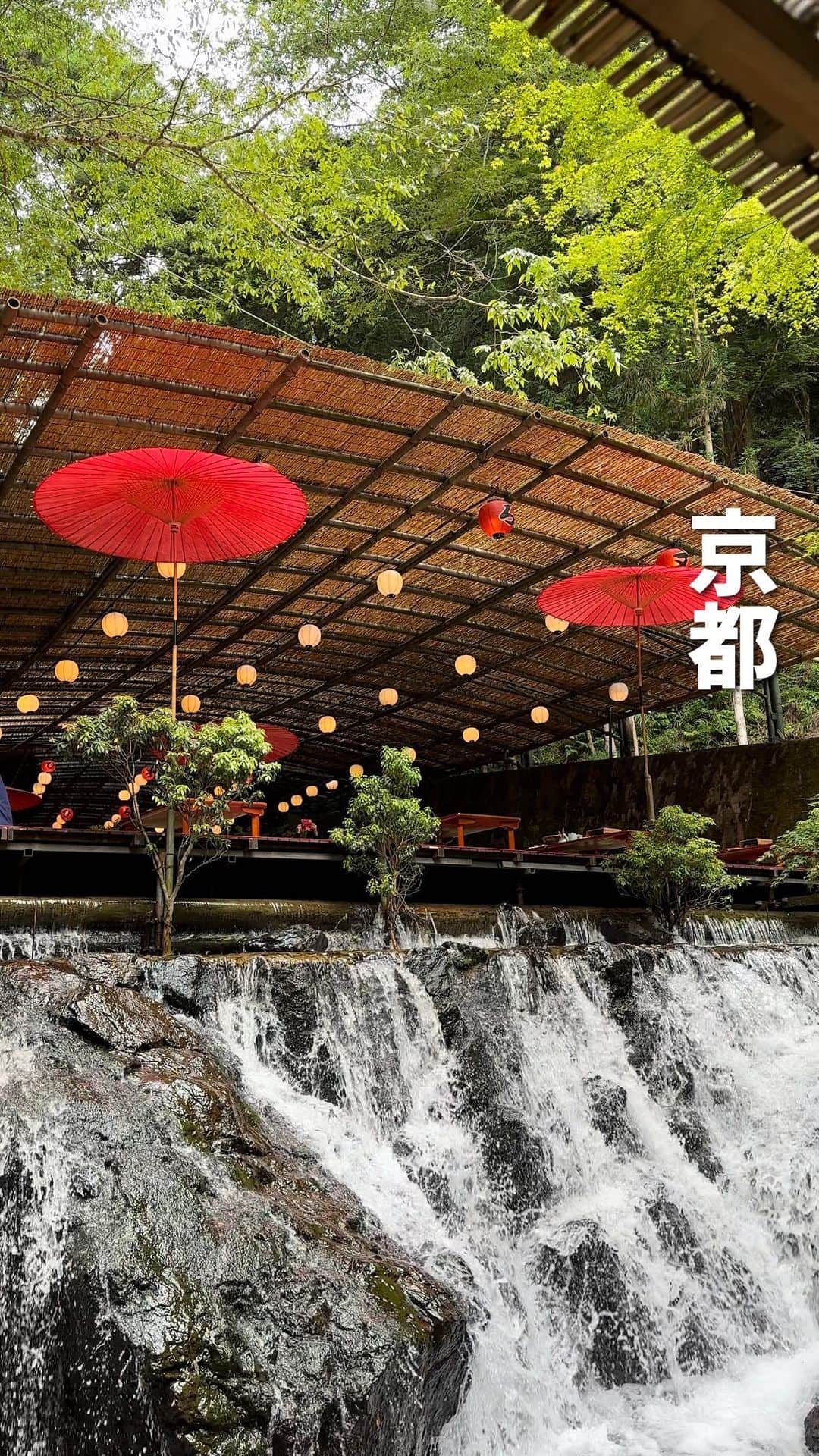 ウルフのグルメインスタ