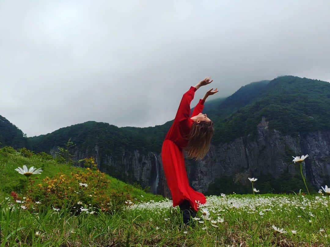 アナンダ・ジェイコブズのインスタグラム：「This is what happens when you take a little break in the mountains. 🌷So much to write about... but for now here's a spontaneous self portrait in a field of daisies in Nagano. I escaped the city for a couple days to see the initiation ceremony of an acquaintance who's now the head priest of a temple. He said the dress code was simply to "wear your colors," so as I've been doing the past year or so for my live concerts, I donned a solid vibrant color I felt good in.  The next show is July 9th in Tokyo, by the way! I'll be wearing a color I've almost never worn... message me if you want to come!  Anyway, the field of daisies was so nice I picked a handful for @captain.doofy. I had forgotten to buy a proper envelope so I used some beautiful bark from a tree instead. Congratulations @manryuji667 - your whole family is a beacon of creative, forward thinking where all souls can mingle and be free!  #daisies #reddress #freedom #freespirit #solotrip #mountaingirl #reachfortheheavens #selfportrait」