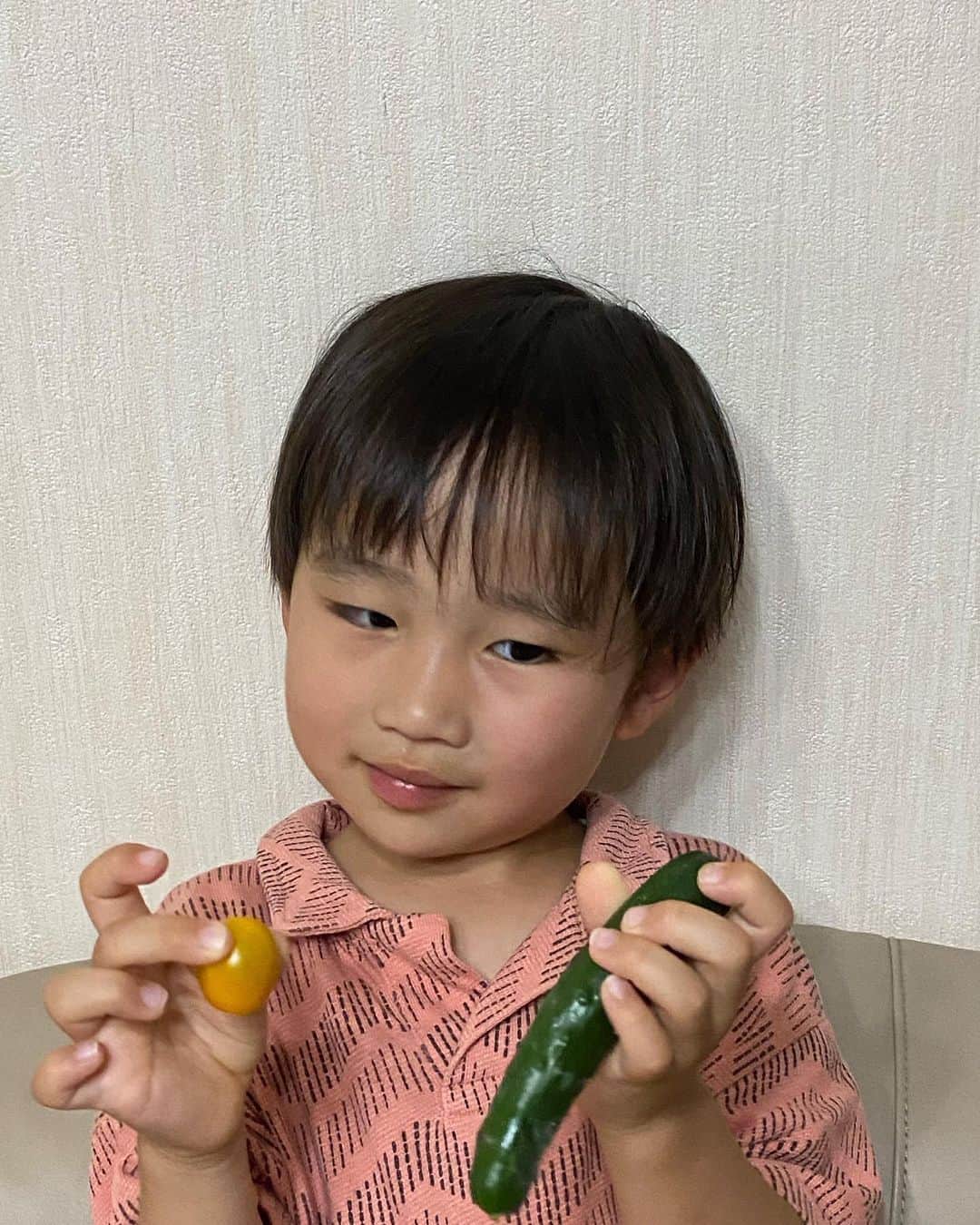 MAKI MIYAMOTO 宮本真紀さんのインスタグラム写真 - (MAKI MIYAMOTO 宮本真紀Instagram)「. 休日の色々🤎 私は最近のおにゅーitemコーデでした🤤 きゆうが寝てる間一段とうるさいれま。笑  お家で育ててるトマトときゅうりが毎日1コずつ収穫できます🏠(私には1つもくれません)  #dayoff」6月25日 16時39分 - makime_me_