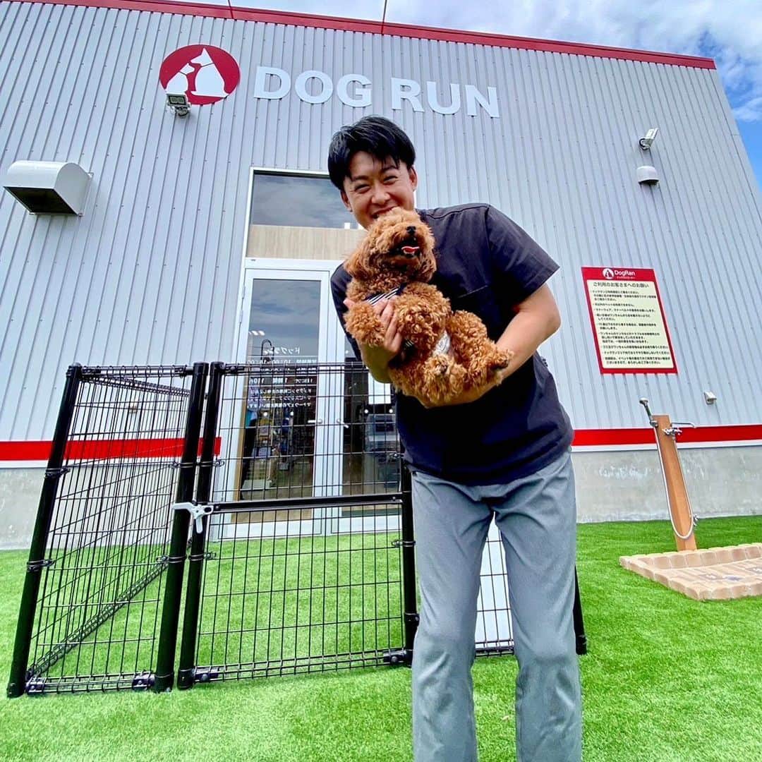 新山大さんのインスタグラム写真 - (新山大Instagram)「犬も大も全力で走り回りました！  #dogrun #bigrun #zoomore #ムギちゃん #大ちゃん #ハレのちリサーチ #ABA #ハレのちあした #6月26日放送」6月25日 16時44分 - dai_niiyama