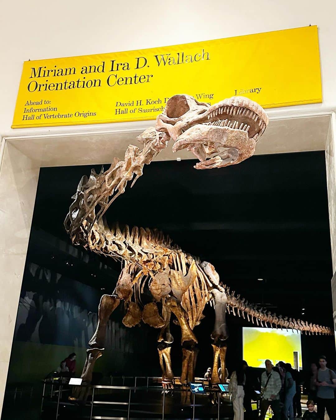 小林真由さんのインスタグラム写真 - (小林真由Instagram)「nyc🗽 ⁡ アメリカ自然史博物館🐘✨ とにかく広くてあっという間に数時間が経ってました🥹 (前のセントラルパークに時間をかけすぎて気づけば午後に😂) ⁡ ⁡ 恐竜の標本や動物の模型はもちろん、プラネタリウムもなかなかマニアックな内容で面白かった！🪐 ⁡ 帰ってからナイトミュージアムを少し見てみたけど子供達にはまだヒットせず、私としては感激でした🫶 ⁡ ⁡ ⁡ #ファッション #コーデ #ママコーデ #女の子ママ #男の子ママ #ママライフ #コーディネート #４歳 #２歳 #二人育児 #ニューヨーク #旅行 #ニューヨーク旅行 #子連れ旅行 #アメリカ自然史博物館 #博物館 #ナイトミュージアム #americanmuseumofnaturalhistory #nyc #newyork」6月25日 16時55分 - mayukobayashii