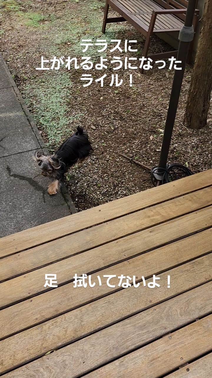 武東由美のインスタグラム