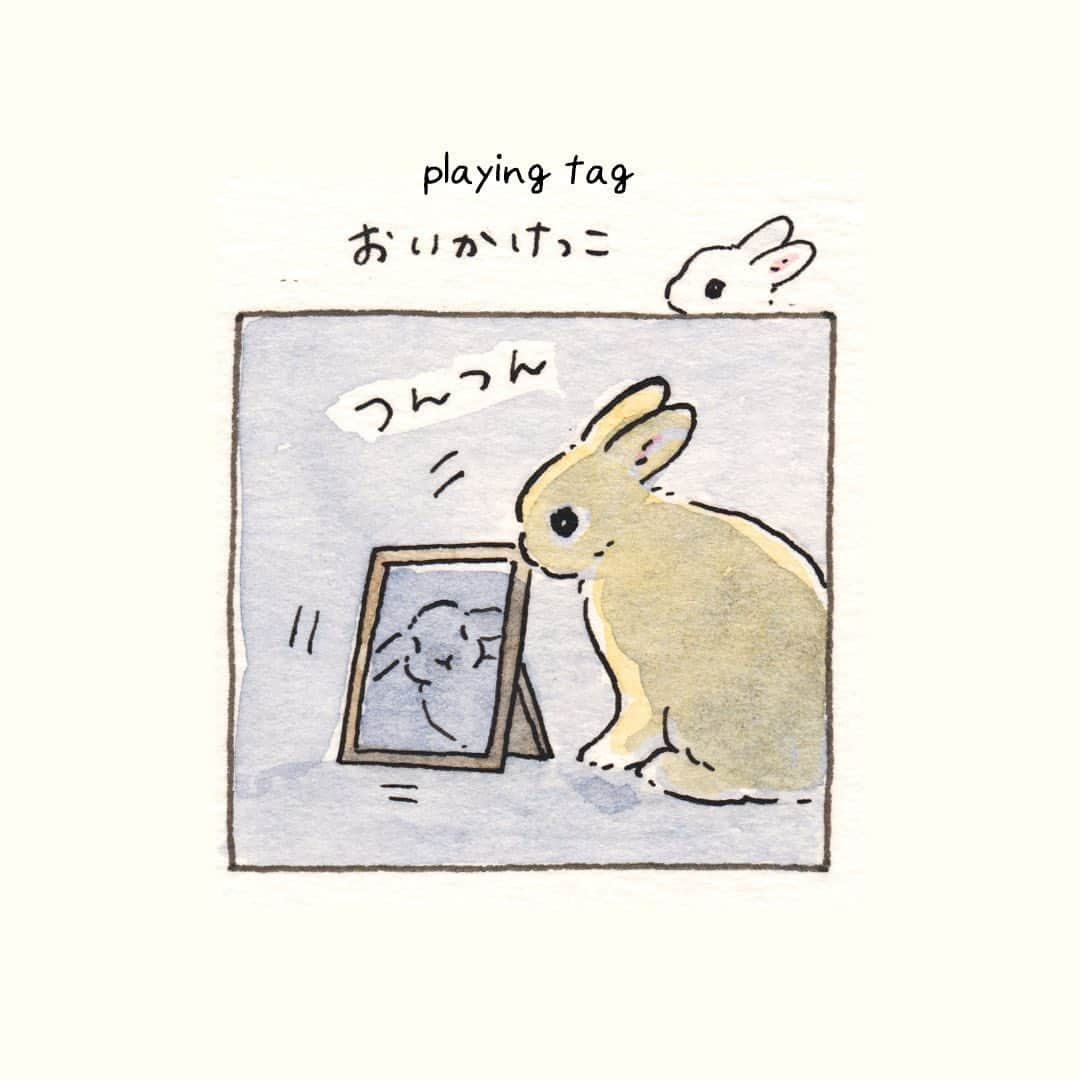 森山標子(しなこ)/Schinakoのインスタグラム：「playing tag🐇💨 おいかけっこ🐇💨」