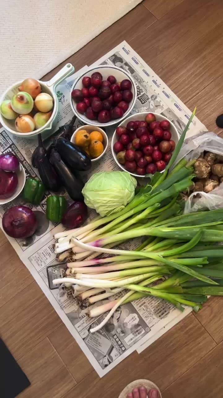 浅岡雄也のグルメインスタ