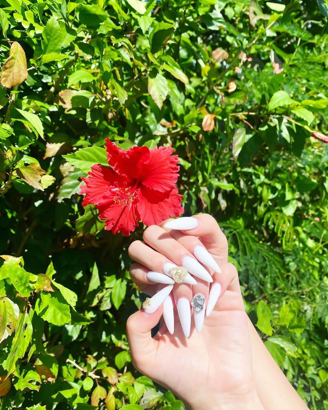 アンジェリカのインスタグラム：「‎𓊆︎︎︎︎︎︎☑︎𝐧𝐞𝐰! 𓊇🌺🩷🩷  夏っぽくまっちろ🤍  《特別クーポン💅》 私のインスタを見た‼︎で、  ──ご新規様𝑚𝑒𝑛𝑢 ──� ☑︎シンプルジェル￥8500��〜 ☑︎ハンドジェルやり放題￥12500��〜 ☑︎フットジェルやり放題￥12500��〜 ☑︎スカルプやり放題￥18000〜�� �� ✦ご新規様のみ利用可 ✦オフ無料コーティング込み ✦有料パーツ、有料アートはやり放題に含まれていないので、別途かかります。 ✦その他メニューもあるのでお気軽にお問い合わせ下さい。  私の担当𝑦𝑢-𝑘𝑜のインスタ (@YUUUUUUUKO1224)  𝑒𝑦𝑒𝑙𝑎𝑠ℎ & 𝑛𝑎𝑖𝑙𝑠𝑎𝑙𝑜𝑛 𝑙𝑎𝑝𝑖𝑠渋谷本店 お問い合わせ、ご予約はコチラ💁‍♀️ 𝑇𝑒𝑙 0364164998 𝐴𝑑𝑑𝑟𝑒𝑠𝑠 〒150-0042 東京都渋谷区宇田川町33-12 J+RサイドRビル  8F」