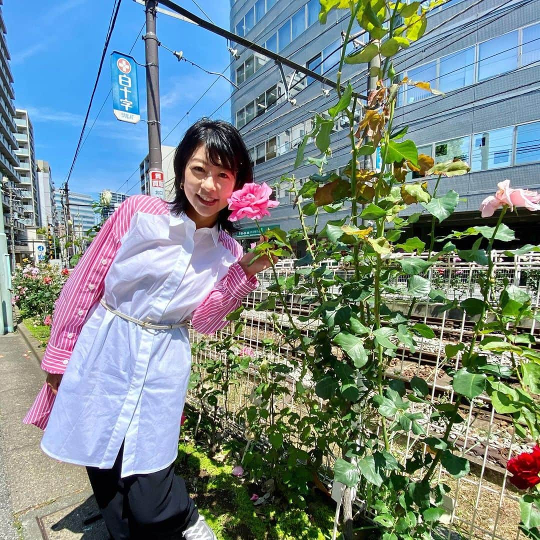 生野陽子さんのインスタグラム写真 - (生野陽子Instagram)「🚶‍♀️ 昨日も 「有吉くんの正直さんぽ」を ご覧いただき ありがとうございました！！  今回は大塚をおさんぽ。  錫小皿体験、夢中でした☺︎ 愛着のある器での味は格別です！  #大塚」6月25日 12時06分 - yoko_shono