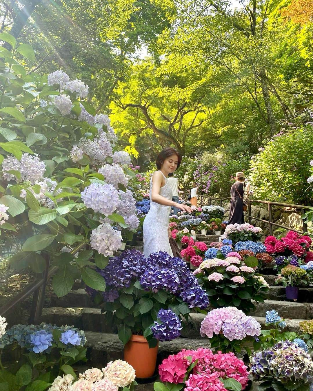 清水由紀のインスタグラム：「💠  色とりどりの紫陽花に囲まれて目が豊かになった☺︎  こんな綺麗な花が咲くなら梅雨も少しは許せるね笑  #総本山長谷寺 #奈良長谷寺 #奈良 #長谷寺 #紫陽花 #あじさい #あじさゐ回廊 #四季」