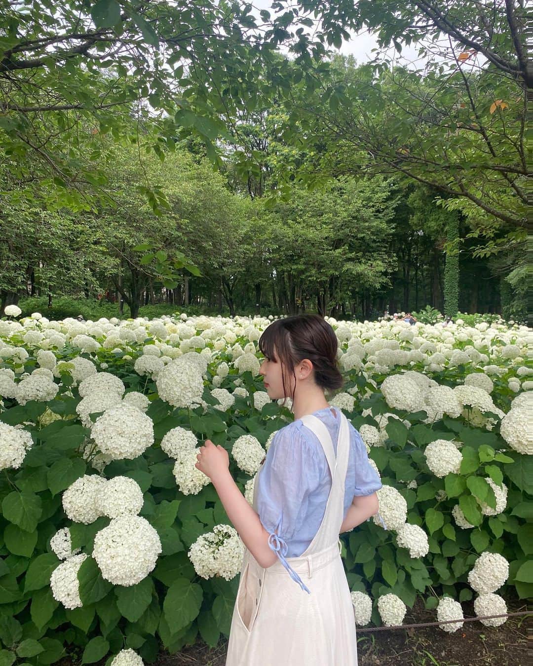 野崎奈菜さんのインスタグラム写真 - (野崎奈菜Instagram)「⁡ 見たことない紫陽花いっぱいあって 綺麗だった☺︎」6月25日 14時31分 - lunelapin_na7